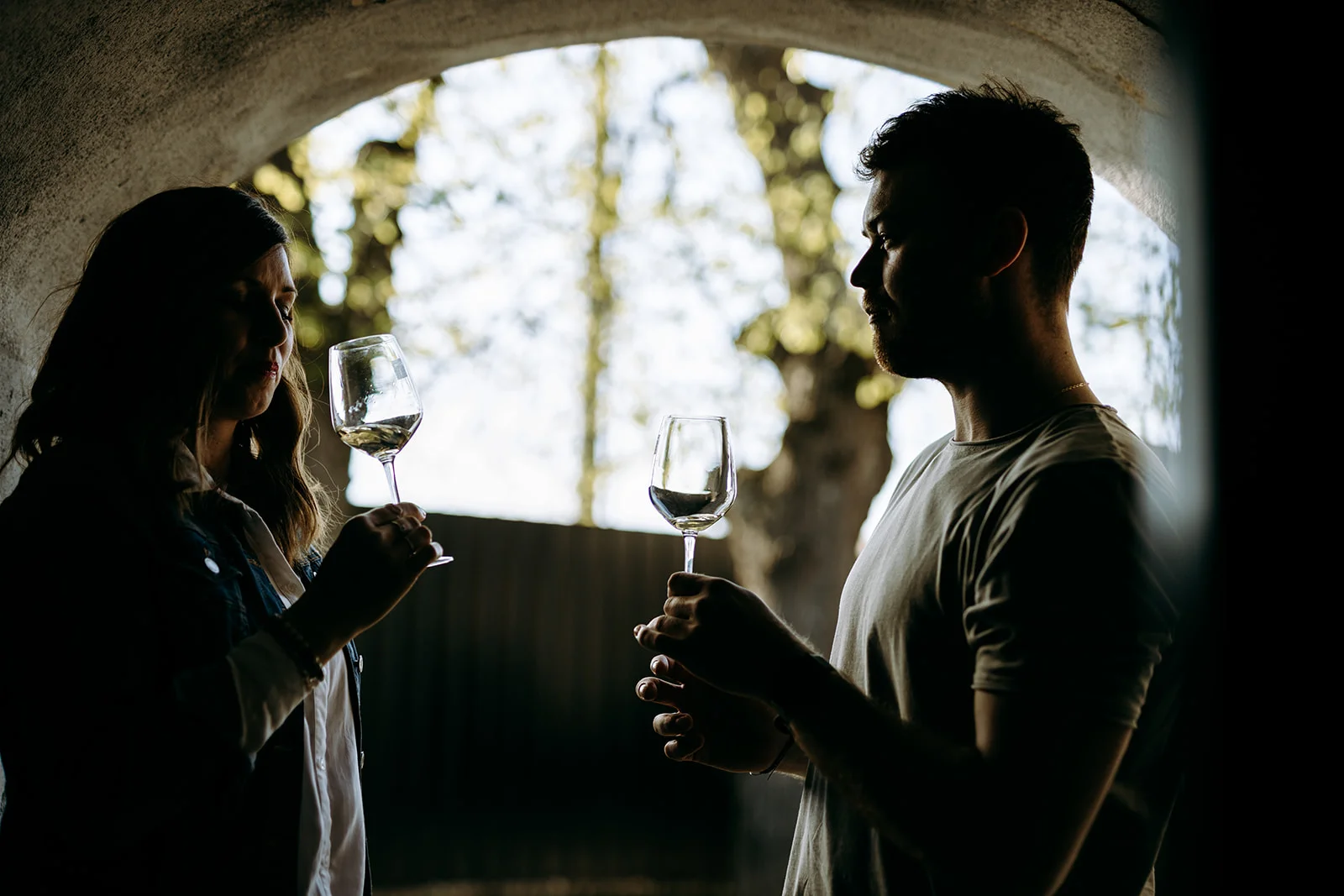 Prohlídka vinařství s degustací 6 až 8 vzorků vína i včetně pohoštění