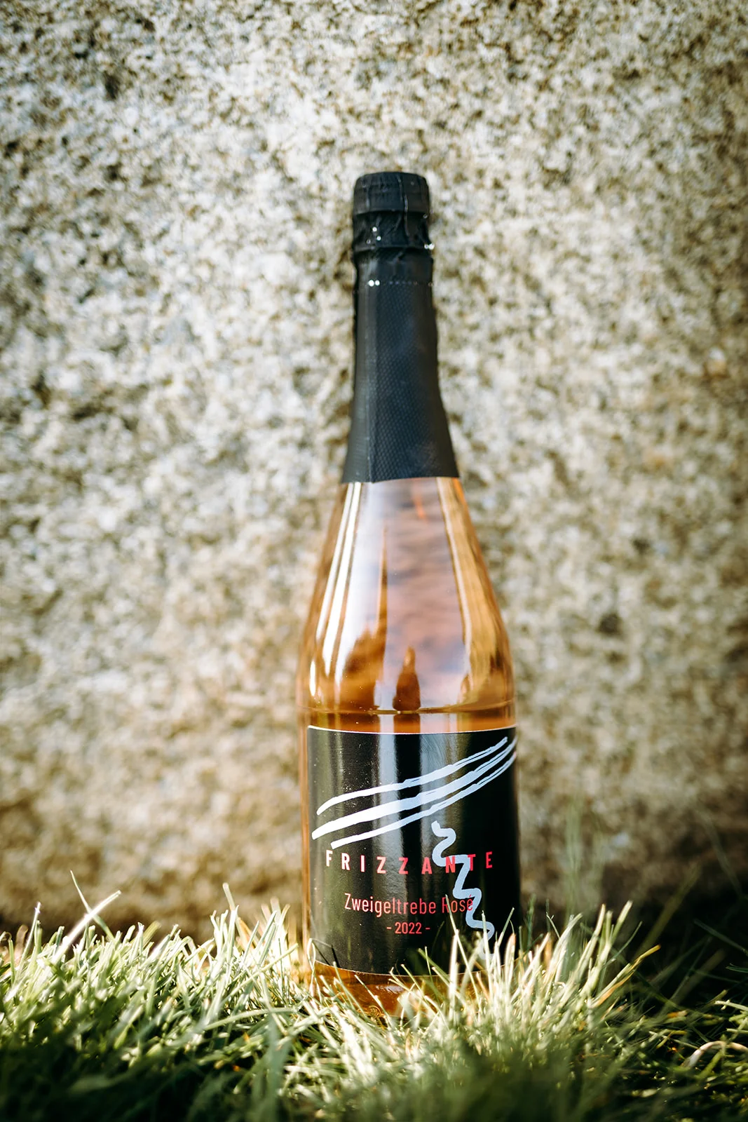 Prohlídka vinařství s degustací 6 až 8 vzorků vína i včetně pohoštění