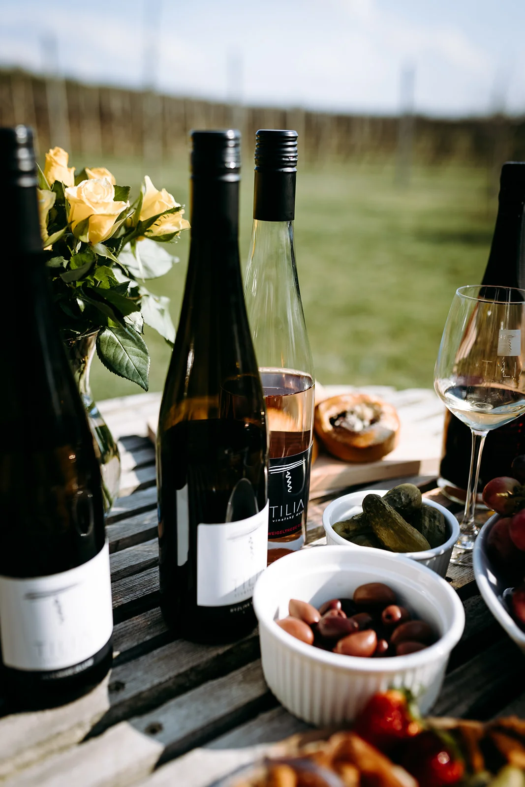 Prohlídka vinařství s degustací 6 až 8 vzorků vína i včetně pohoštění