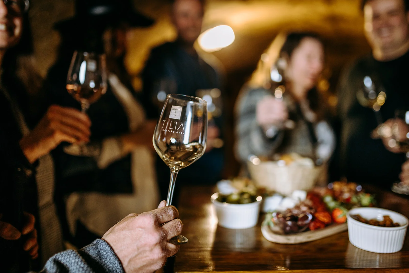 Prohlídka vinařství s degustací 6 až 8 vzorků vína i včetně pohoštění