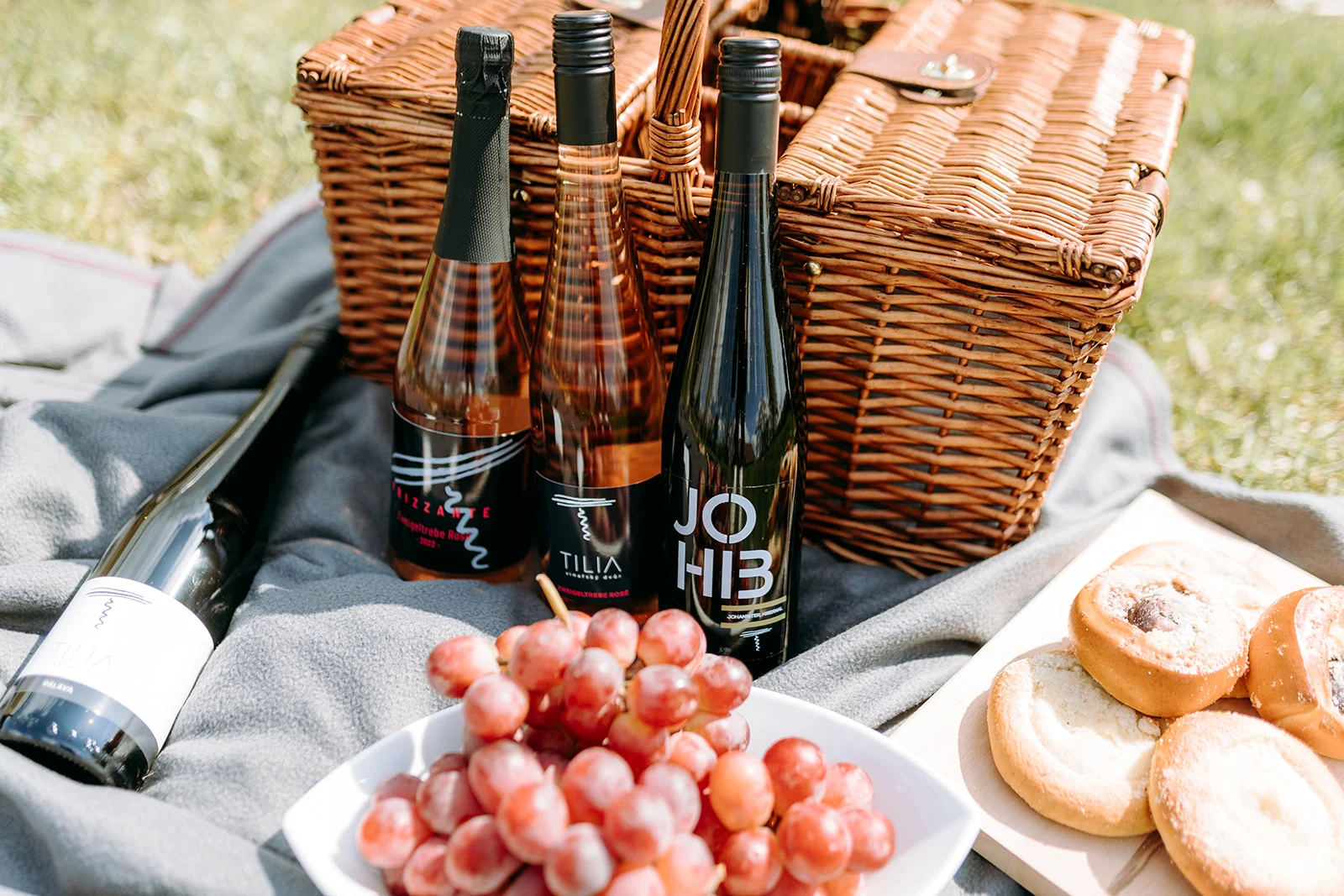 Prohlídka vinařství s degustací 6 až 8 vzorků vína i včetně pohoštění