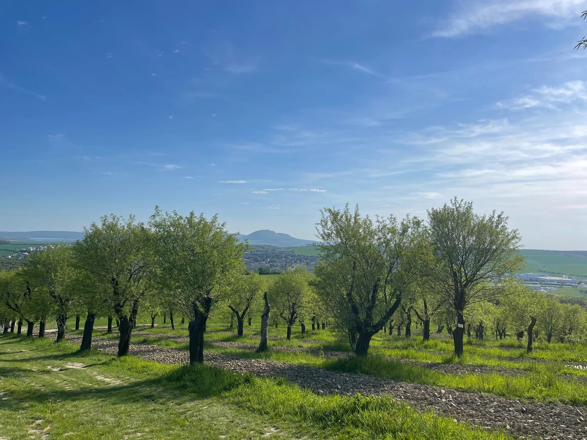 Dovolená pod Pálavou: snídaně či polopenze, saunový svět i sleva na wellness procedury