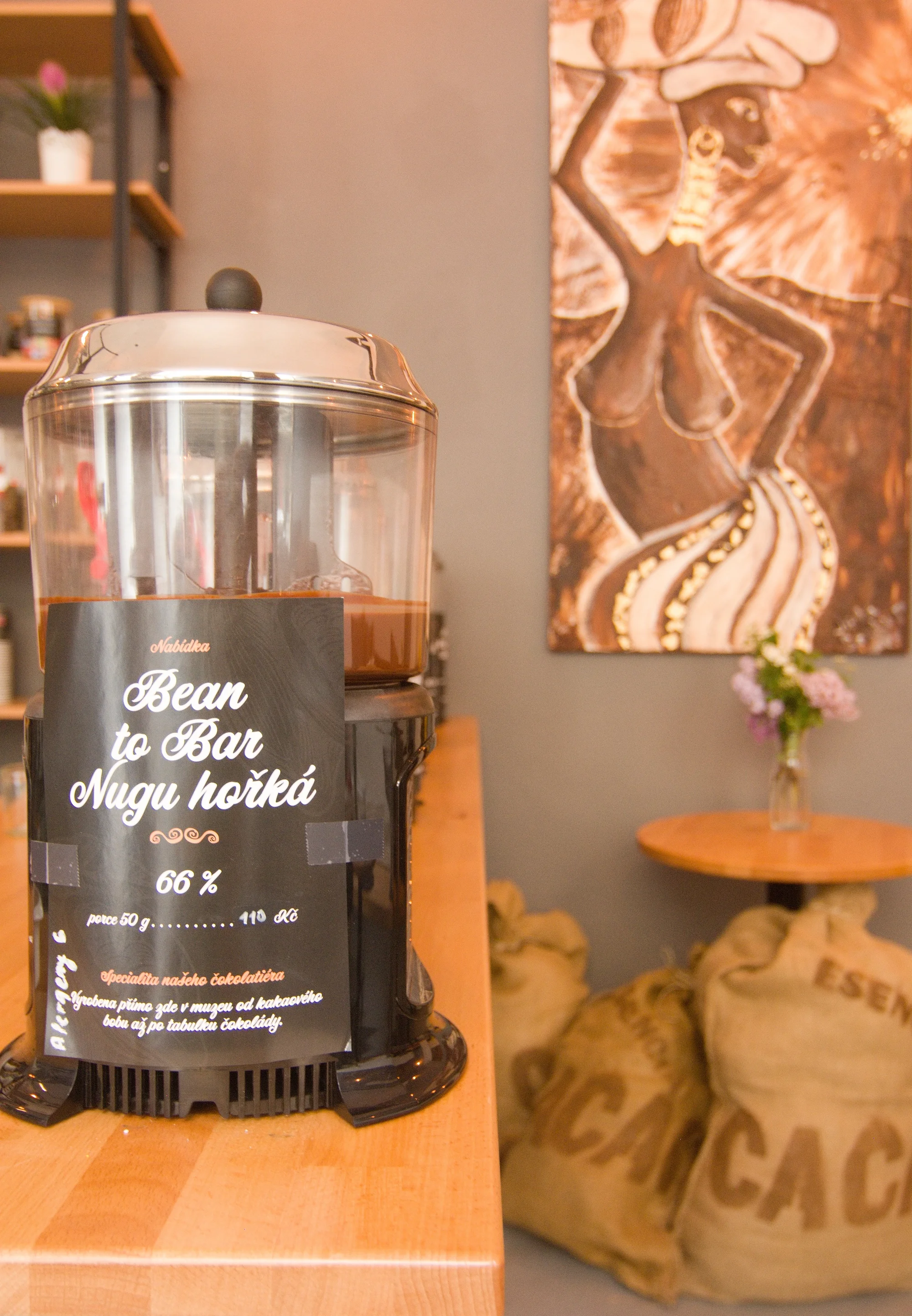 Degustace tří druhů horké čokolády či fondue s lesním ovocem v Chocolaterii Bon Bon: 1 až 3 osoby