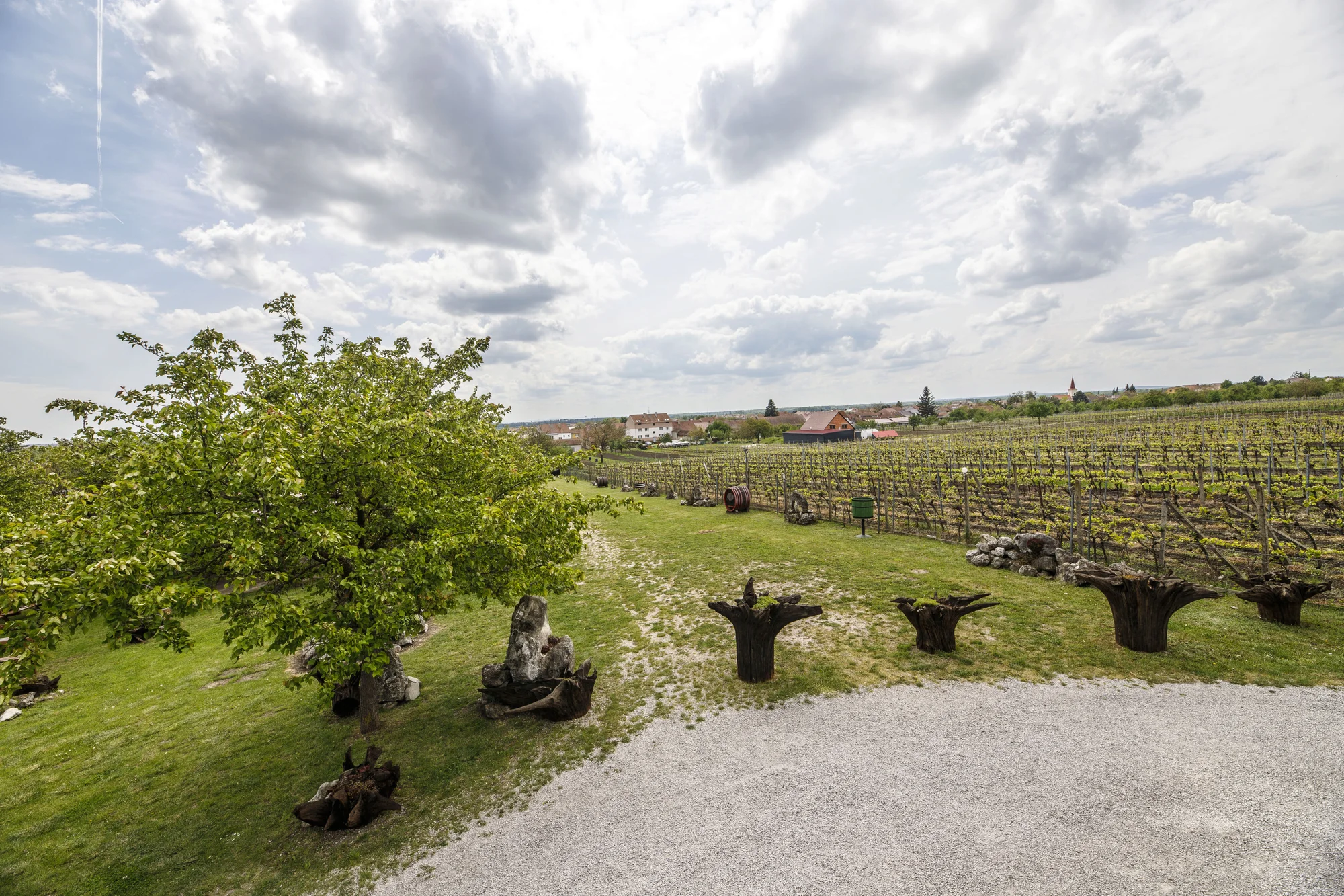 Skvělý relax na jižní Moravě až pro 6 osob: ubytování mezi vinicemi, polopenze a víno