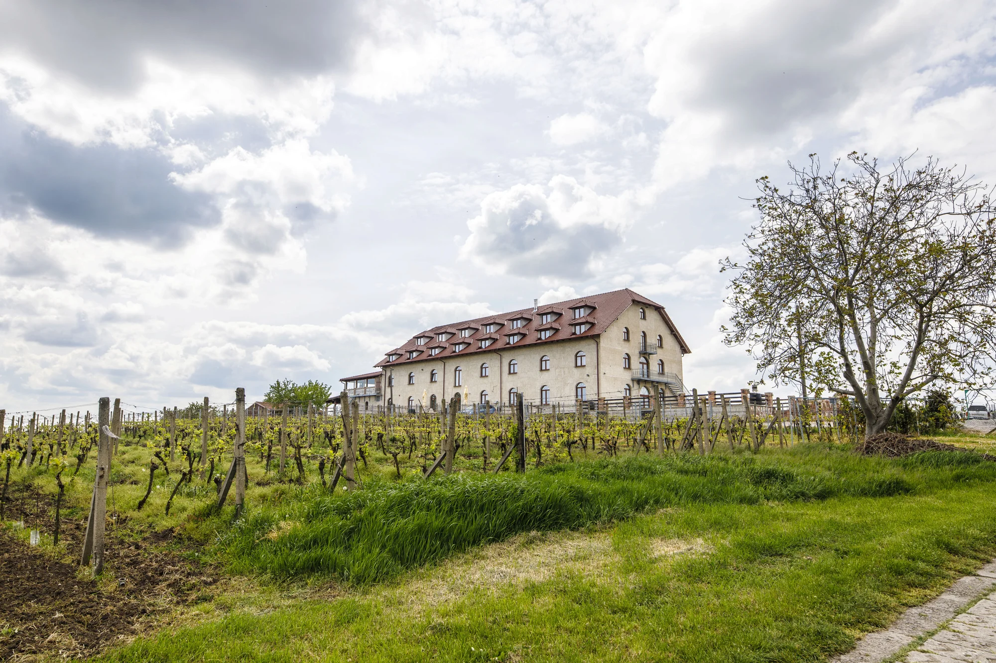 Skvělý relax na jižní Moravě až pro 6 osob: ubytování mezi vinicemi, polopenze a víno
