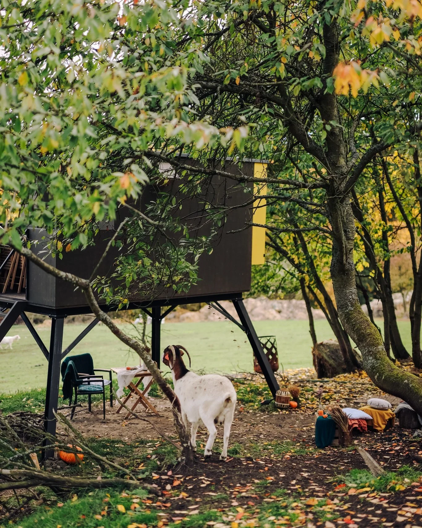 Glamping: minimalistický posed pro dvě osoby, solární sprcha, gril a vyhřívaný sud