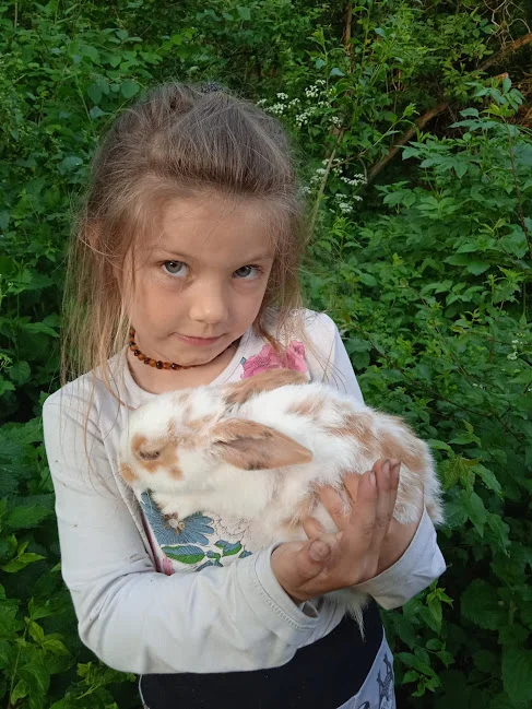 Kontakt se zvířátky pro děti i dospělé: procházka s kozičkou nebo poníkem