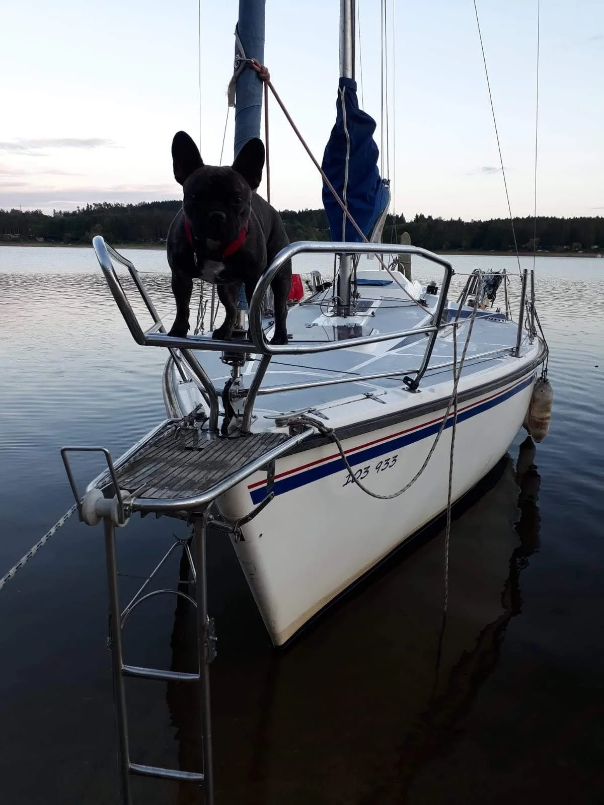 3hod. plavba jachtou s kapitánem na Orlíku vč. zapůjčení paddleboardů i privátní pronájem
