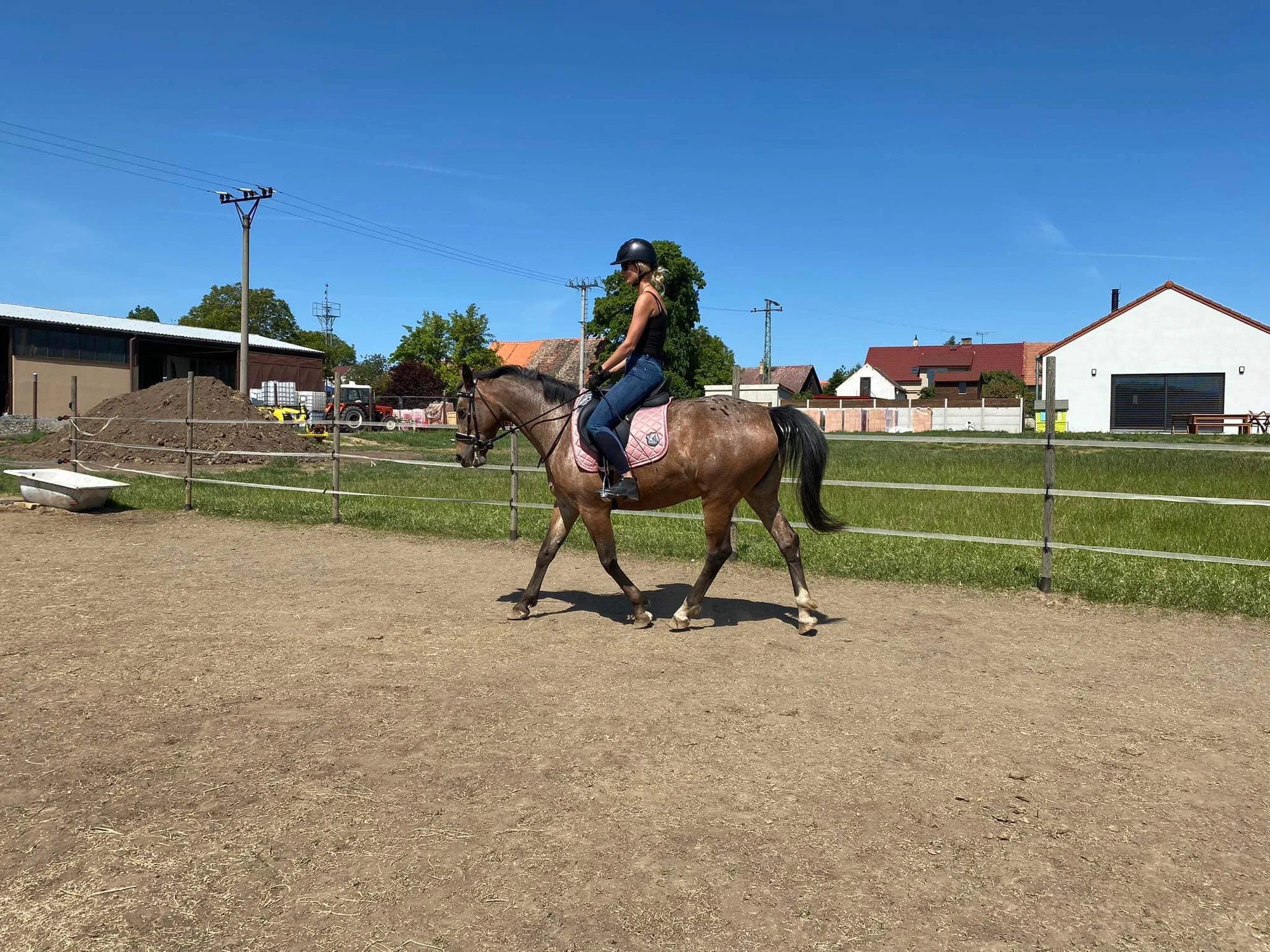 Hodinová projížďka na poníkovi, tažném vozíku či koni na Rodinné farmě Bukovi pro děti i dospělé