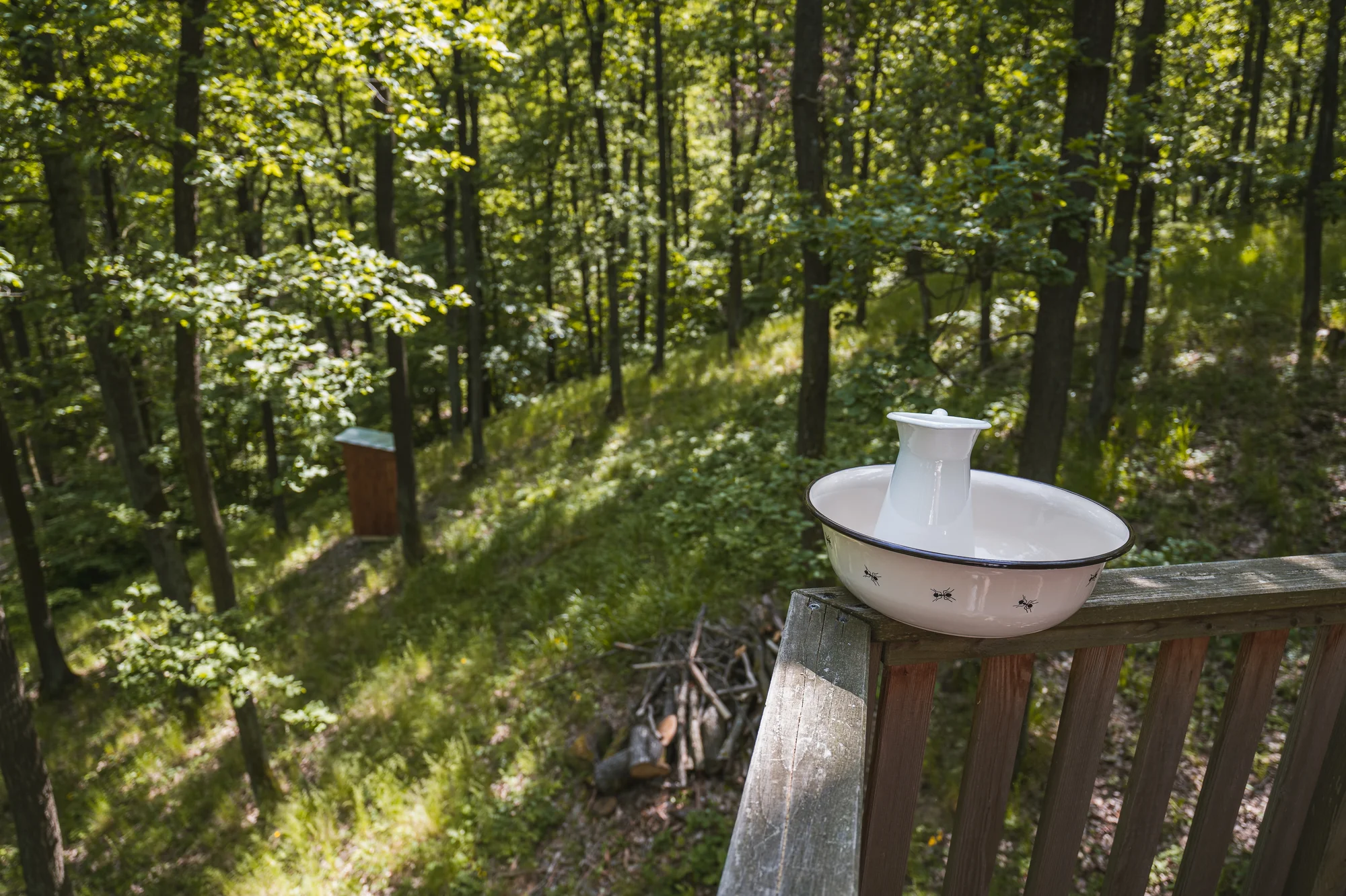 Tree house na kraji Brna: ubytování v souladu s přírodou i úniková šifrovací hra pro zábavu