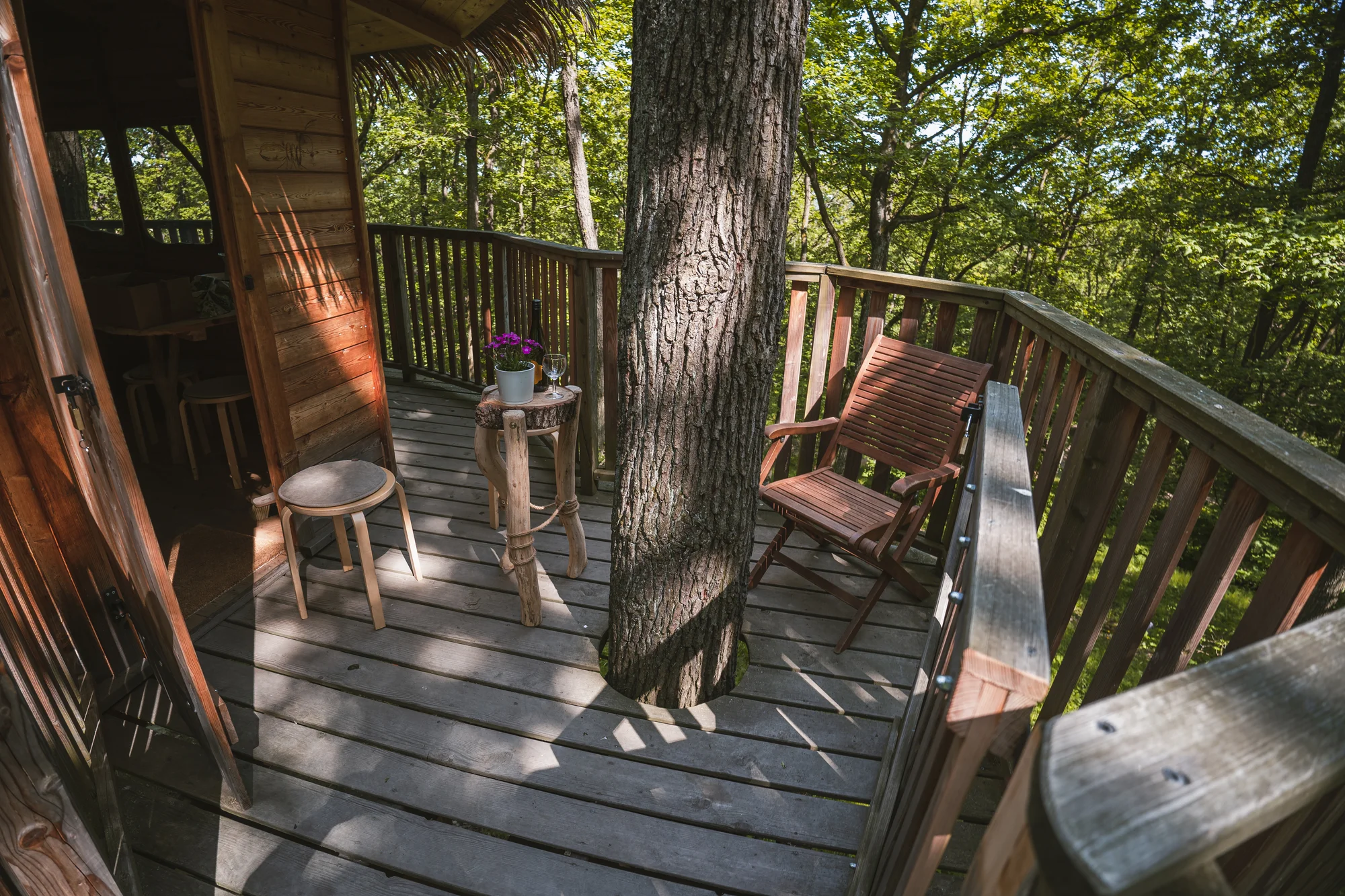 Tree house na kraji Brna: ubytování v souladu s přírodou i úniková šifrovací hra pro zábavu