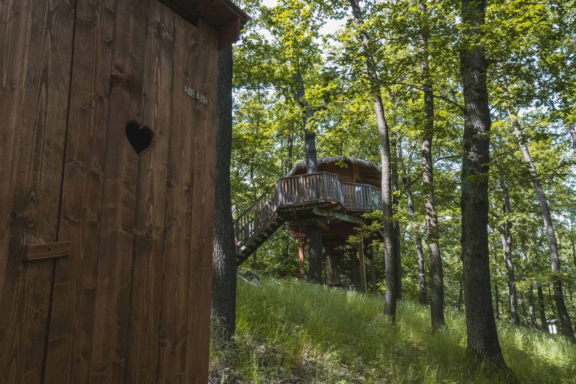 Tree house na kraji Brna: ubytování v souladu s přírodou i úniková šifrovací hra pro zábavu