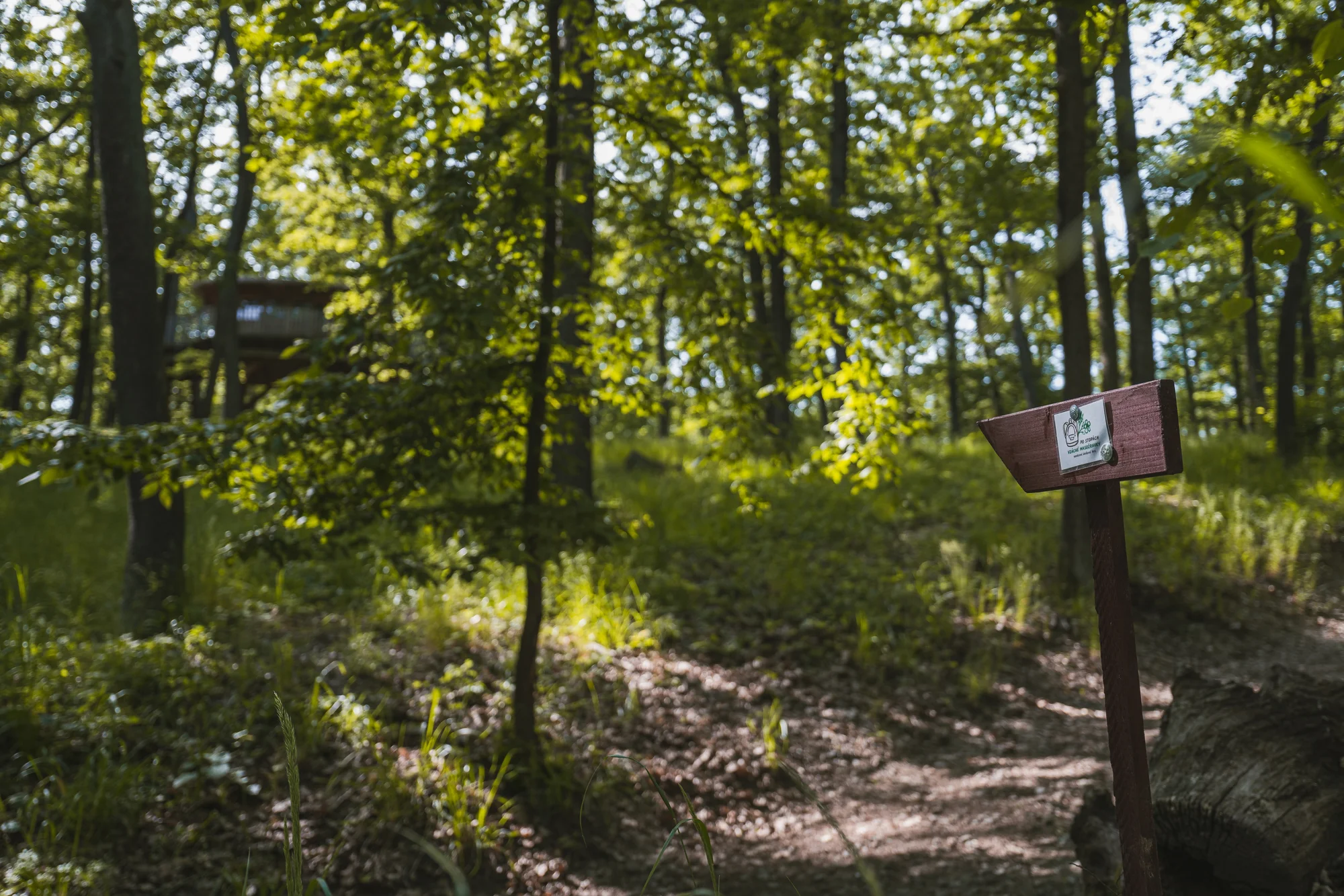 Tree house na kraji Brna: ubytování v souladu s přírodou i úniková šifrovací hra pro zábavu