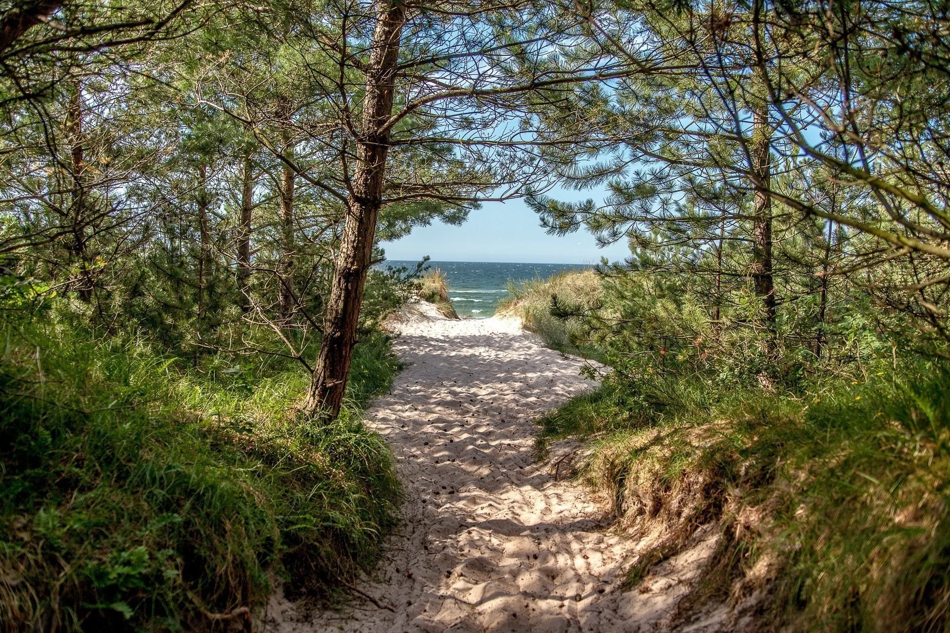 Dovolená u Baltu pro páry i rodiny: moderní resort s wellness, bazénem a jídlem, 5 min. od pláže