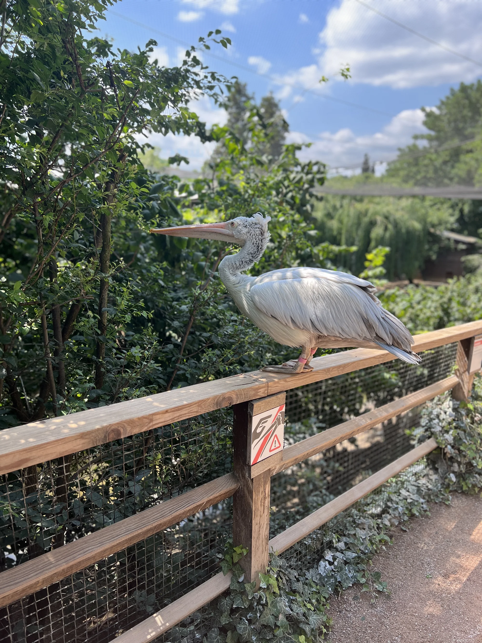 Vstupenka do pražské ZOO s online audioprůvodcem pro dítě i dospělého