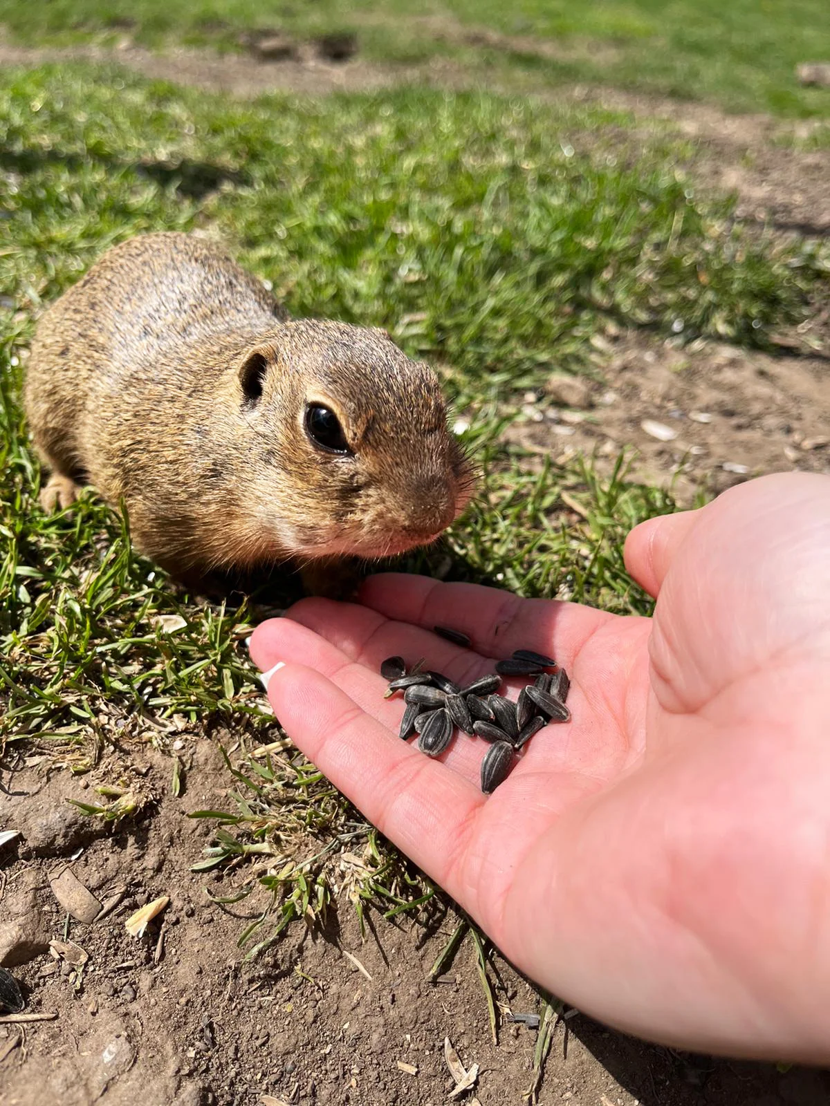 Rodinný penzion v blízkosti Muránské planiny a Slovenského ráje