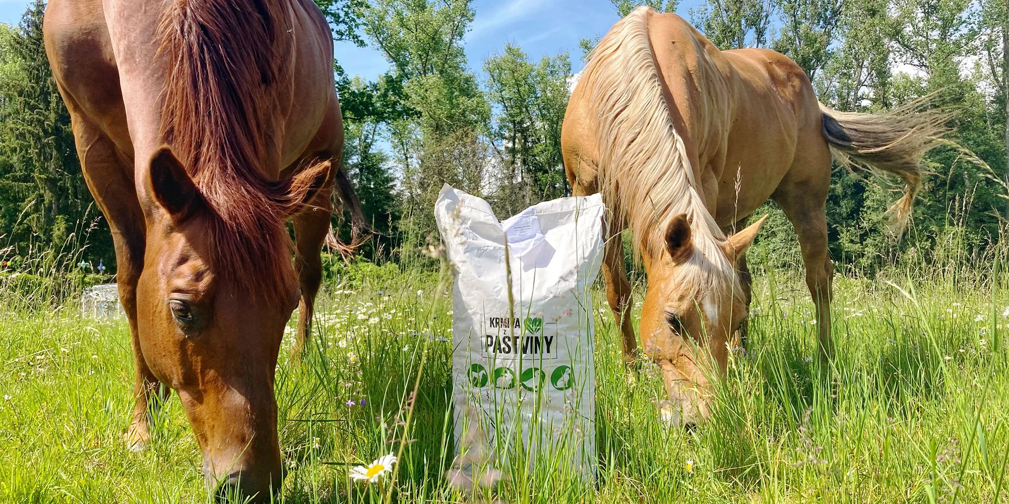 Jedlý park na Šumavě: komentovaná procházka pro 2-10 lidí, krmení zvířat, návštěva ohrad i limonáda