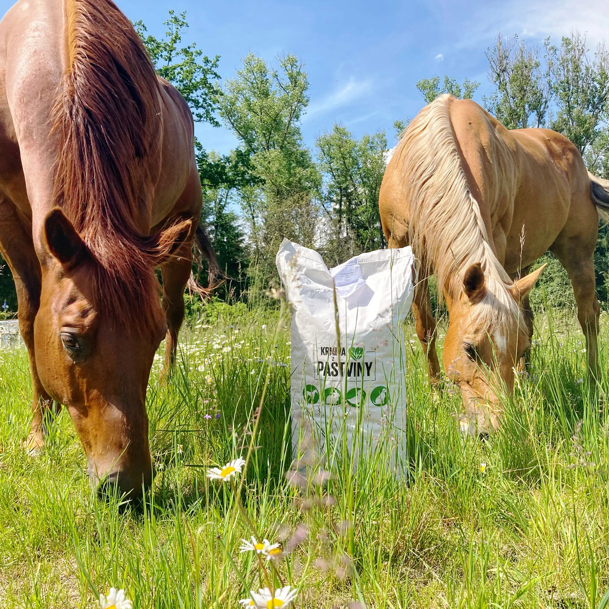 Jedlý park na Šumavě: komentovaná procházka pro 2-10 lidí, krmení zvířat, návštěva ohrad i limonáda