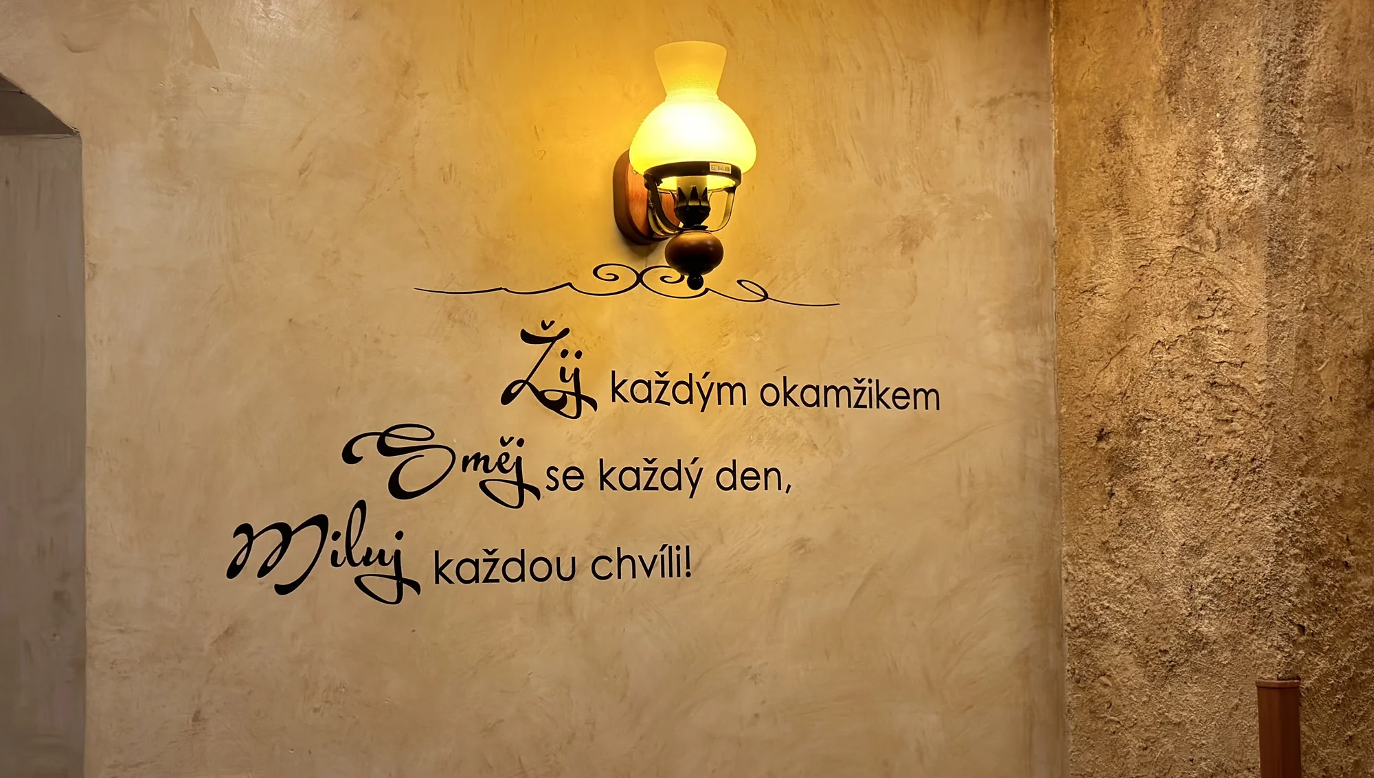 Vyhlášený kebab Can Bey: kuřecí, telecí nebo mix a k němu nealko nápoj
