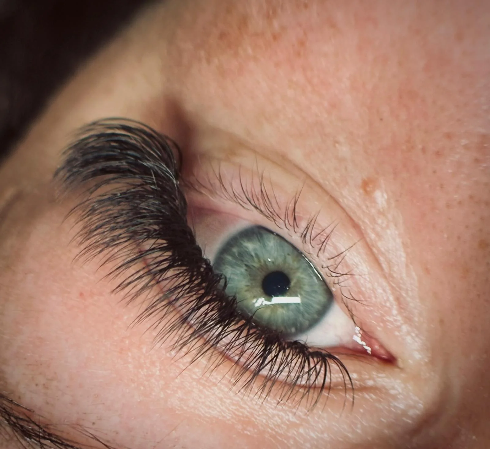 Úprava a barvení obočí, lash lifting i prodloužení řas metodou 2D