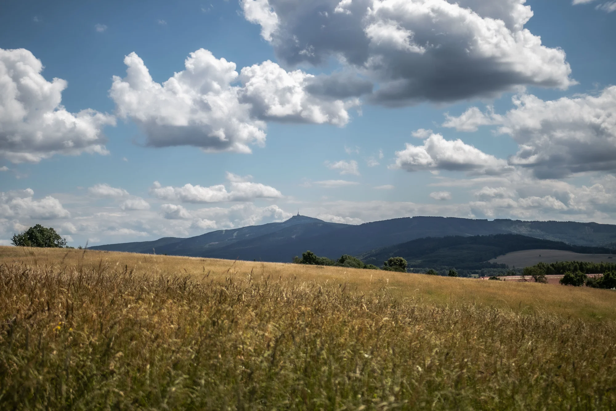 Nádherný tiny house v Jizerkách: koupelna, vybavená kuchyně, snídaňová bedýnka, terasa a klid