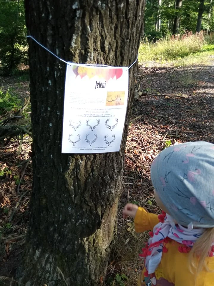 Dobrodružství a zábava: dobrodružné bojovky pro děti už od 4 let