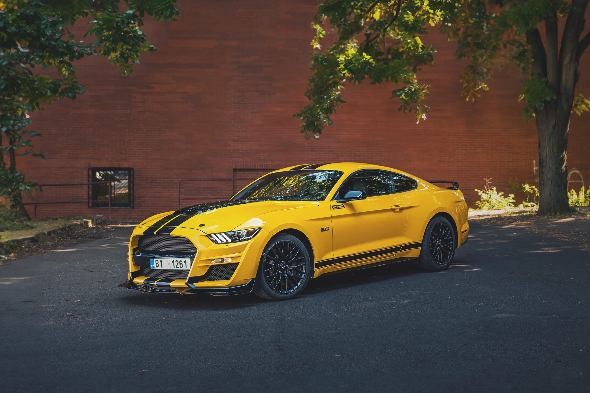 Supervýkonný Mustang Shelby paket GT 5.0 V8: 20–50 min. řízení či spolujízdy a čas na focení