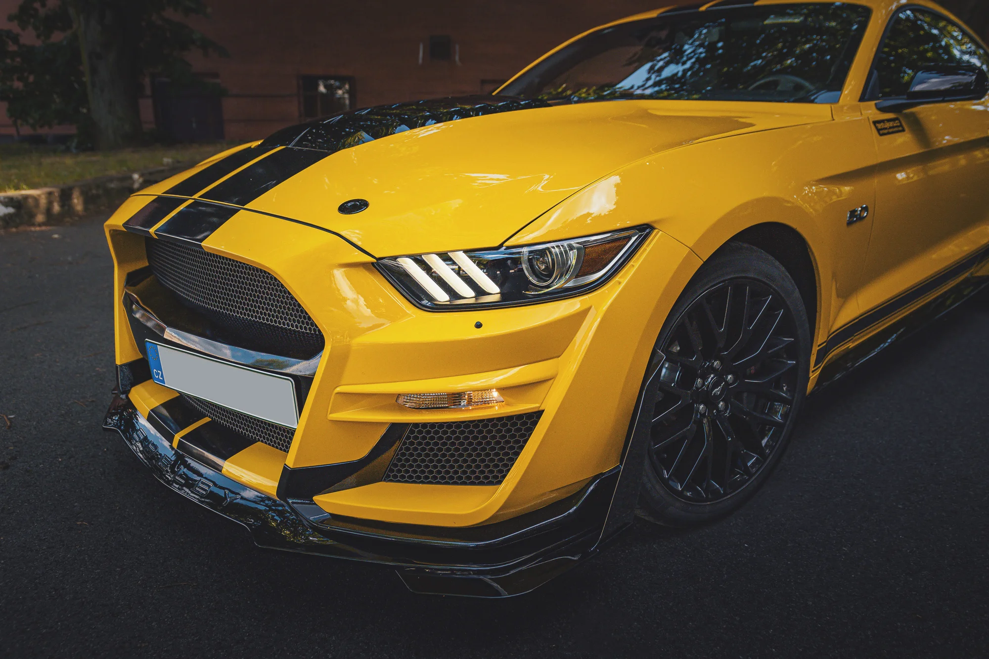 Supervýkonný Mustang Shelby paket GT 5.0 V8: 20–50 min. řízení či spolujízdy a čas na focení