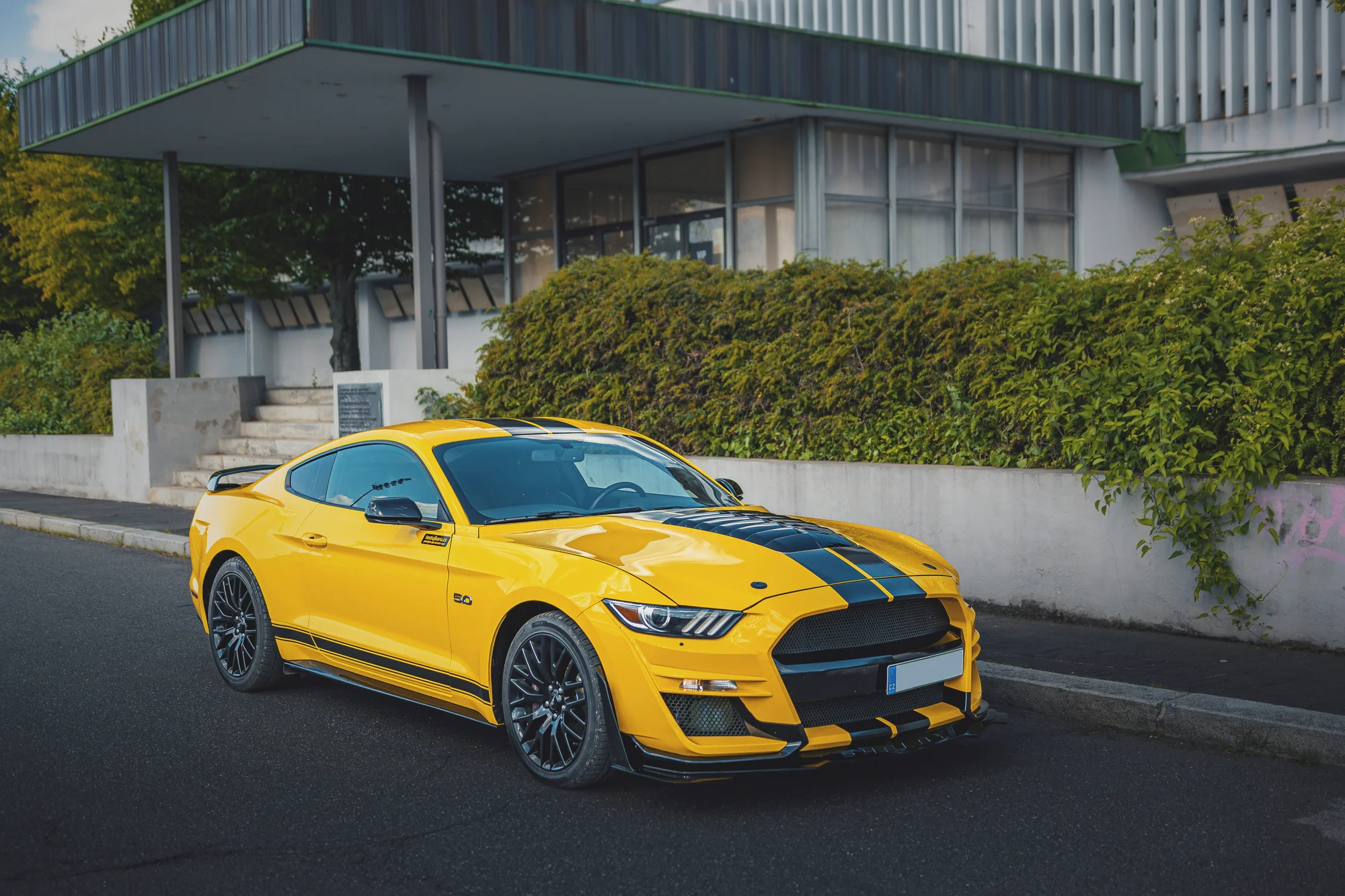 Supervýkonný Mustang Shelby paket GT 5.0 V8: 20–50 min. řízení či spolujízdy a čas na focení