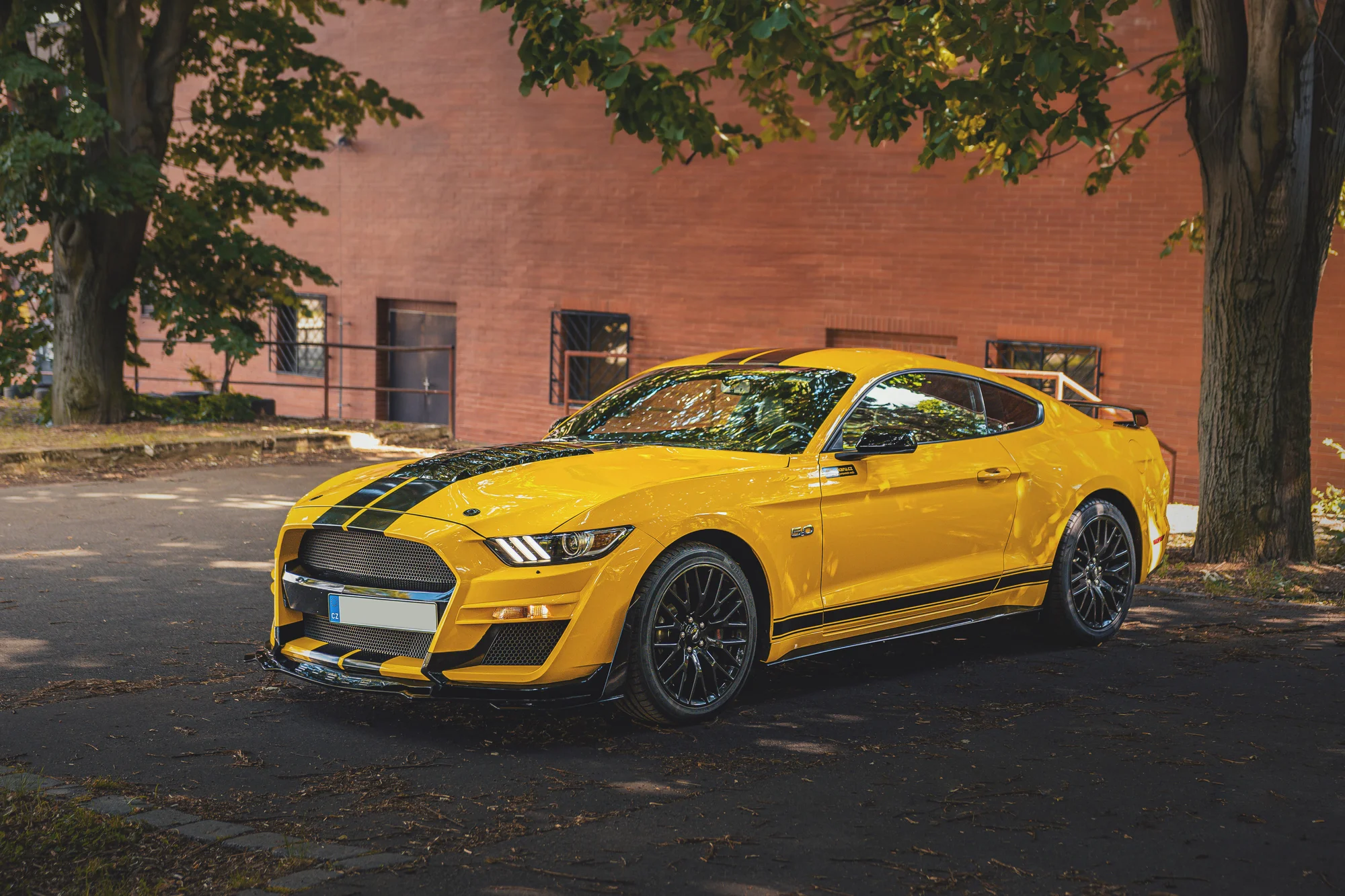 Supervýkonný Mustang Shelby paket GT 5.0 V8: 20–50 min. řízení či spolujízdy a čas na focení