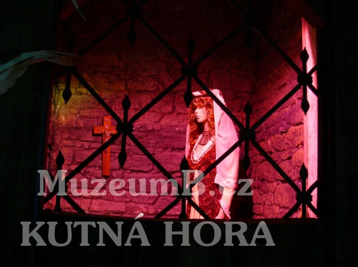 2hod. prohlídka Kutné Hory s průvodcem až pro 6 osob třeba i se vstupem do Muzea pověstí
