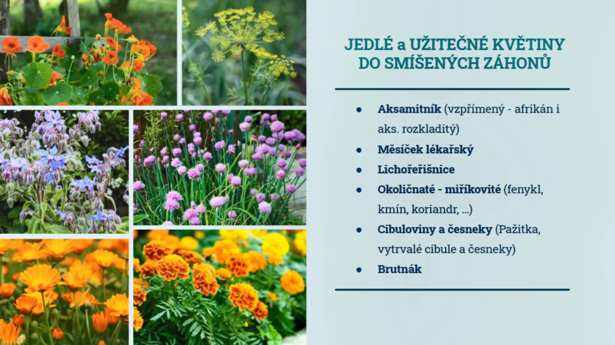 Online kurzy ekologického zahradničení: pro zeleninu bez chemie a rytí, pro sklizeň během mrazivé zimy i suchého léta