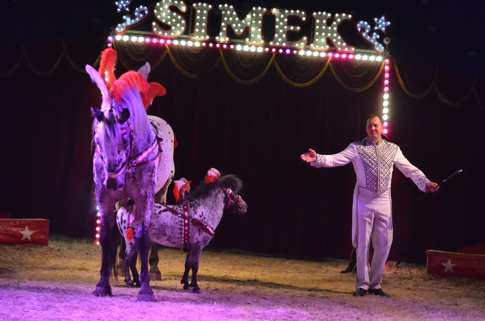 Nová show Cirkusu Šimek: vstupenky pro děti i dospělé