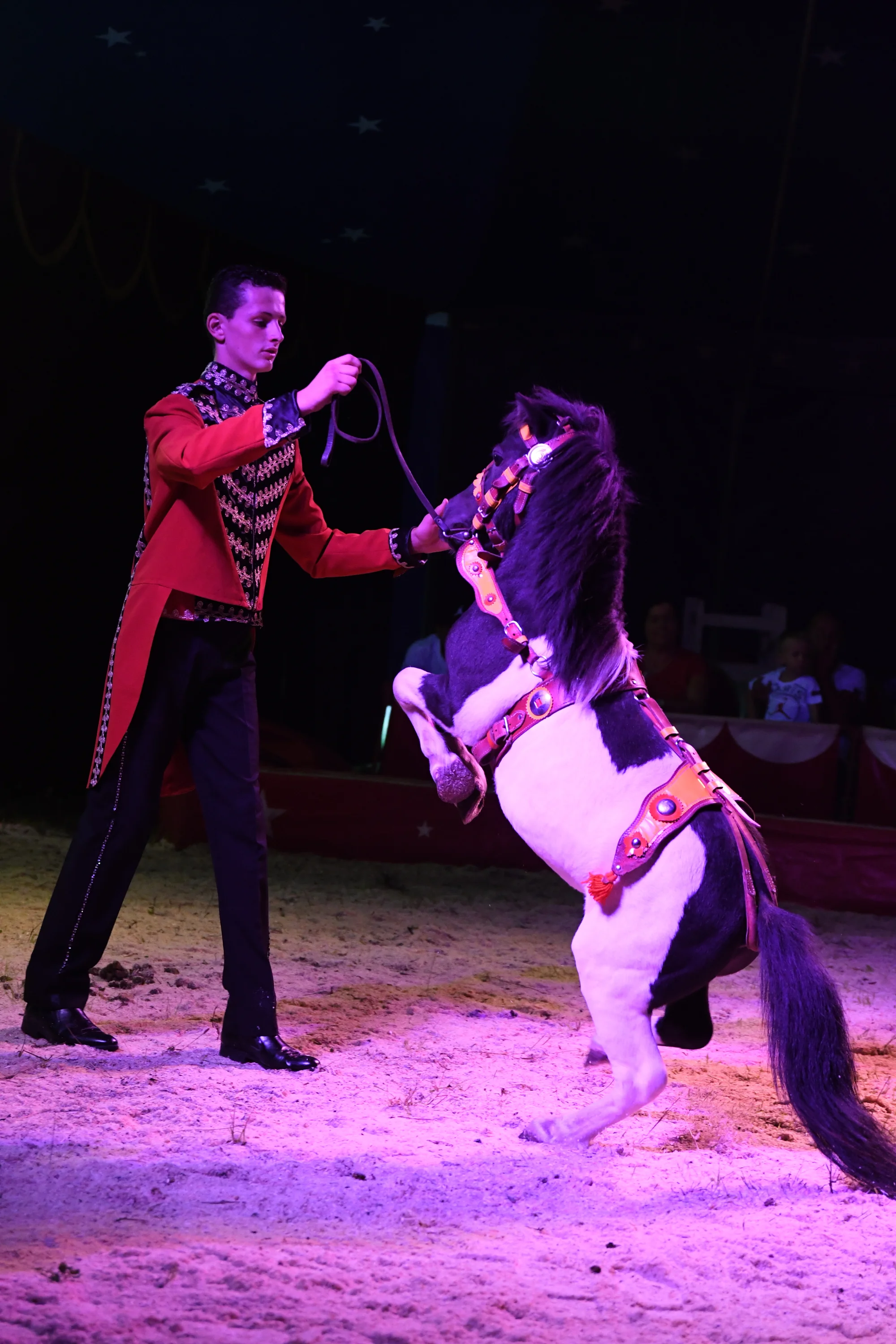 Nová show Cirkusu Šimek: vstupenky pro děti i dospělé