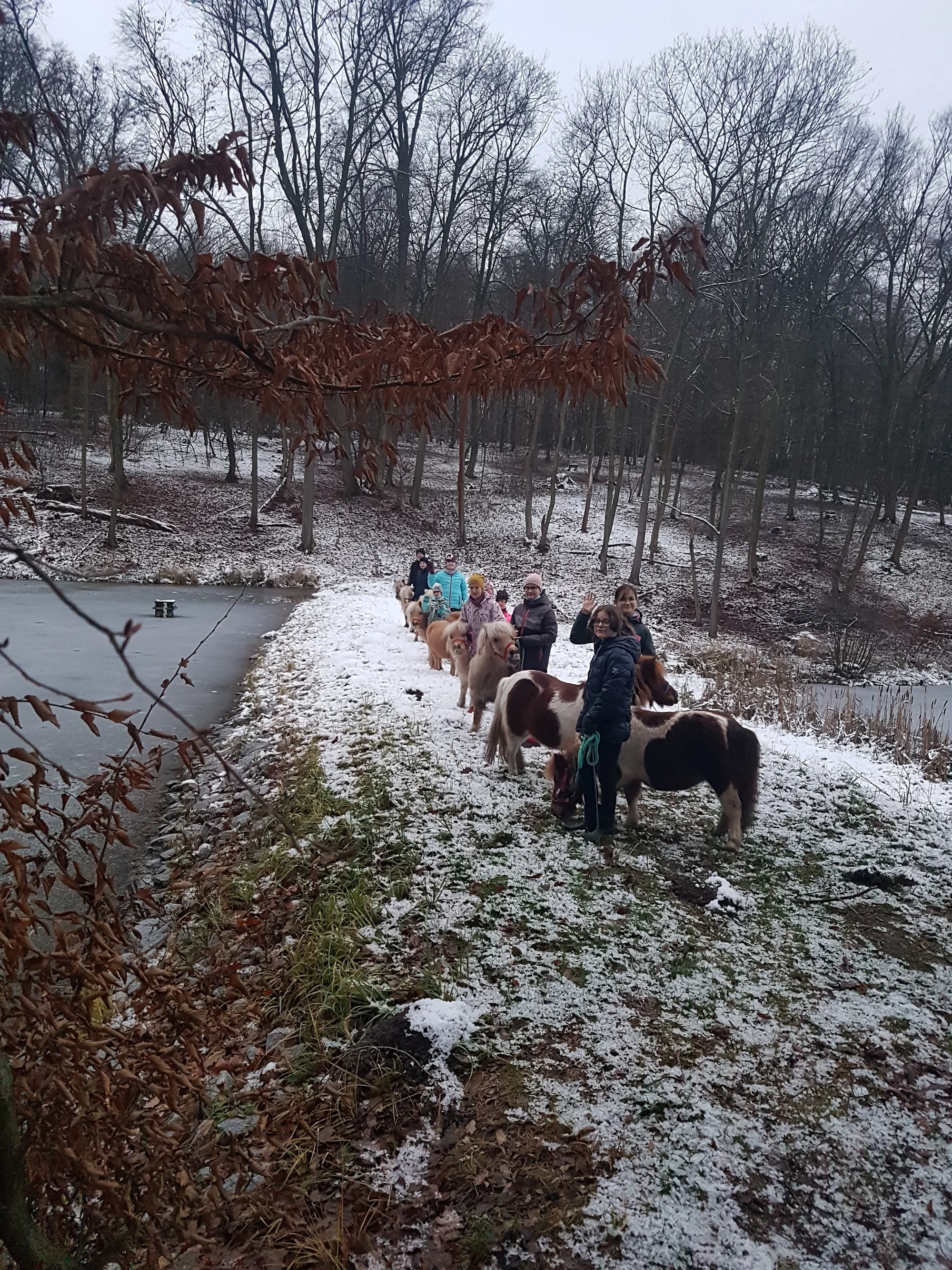 Odpoledne s minikoněm falabella v Pošembeří: čištění a nastrojení, vycházka, pomazlení i mrkvová hostina