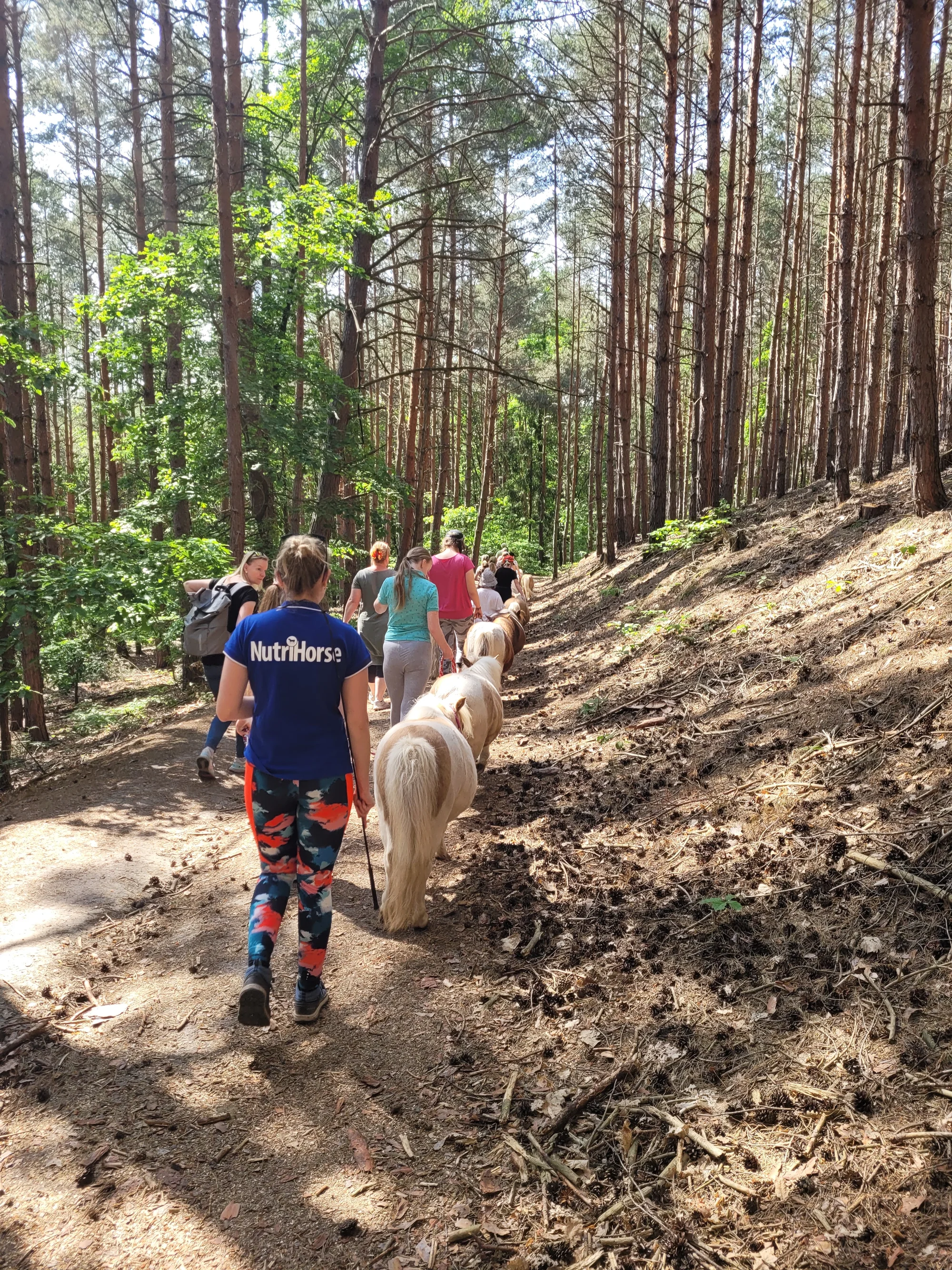 Odpoledne s minikoněm Falabella v Pošembeří: čištění a nastrojení, vycházka, pomazlení i mrkvová hostina