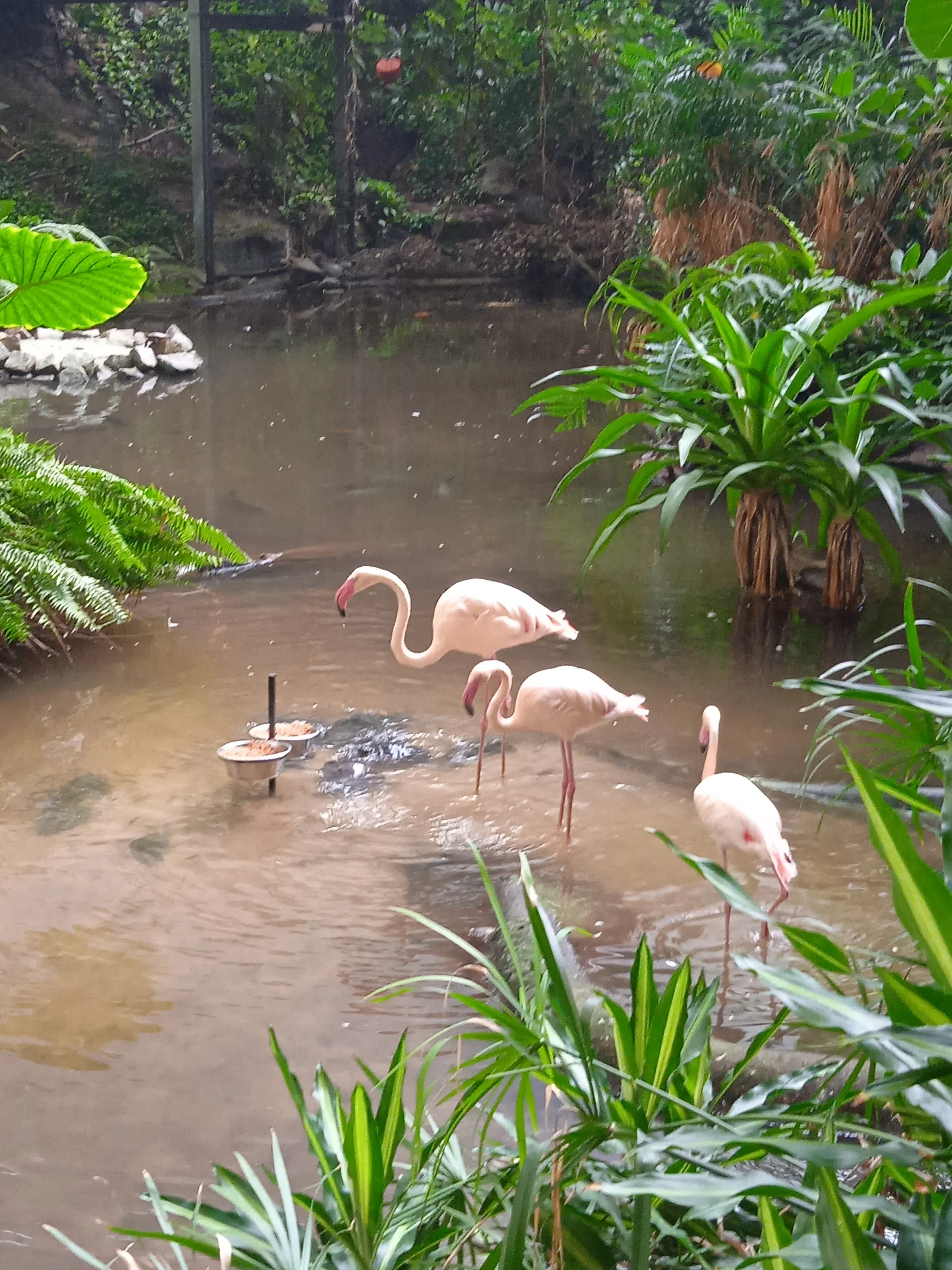 Celodenní vstupné pro děti i dospělé do vodního světa Tropical Islands v Německu