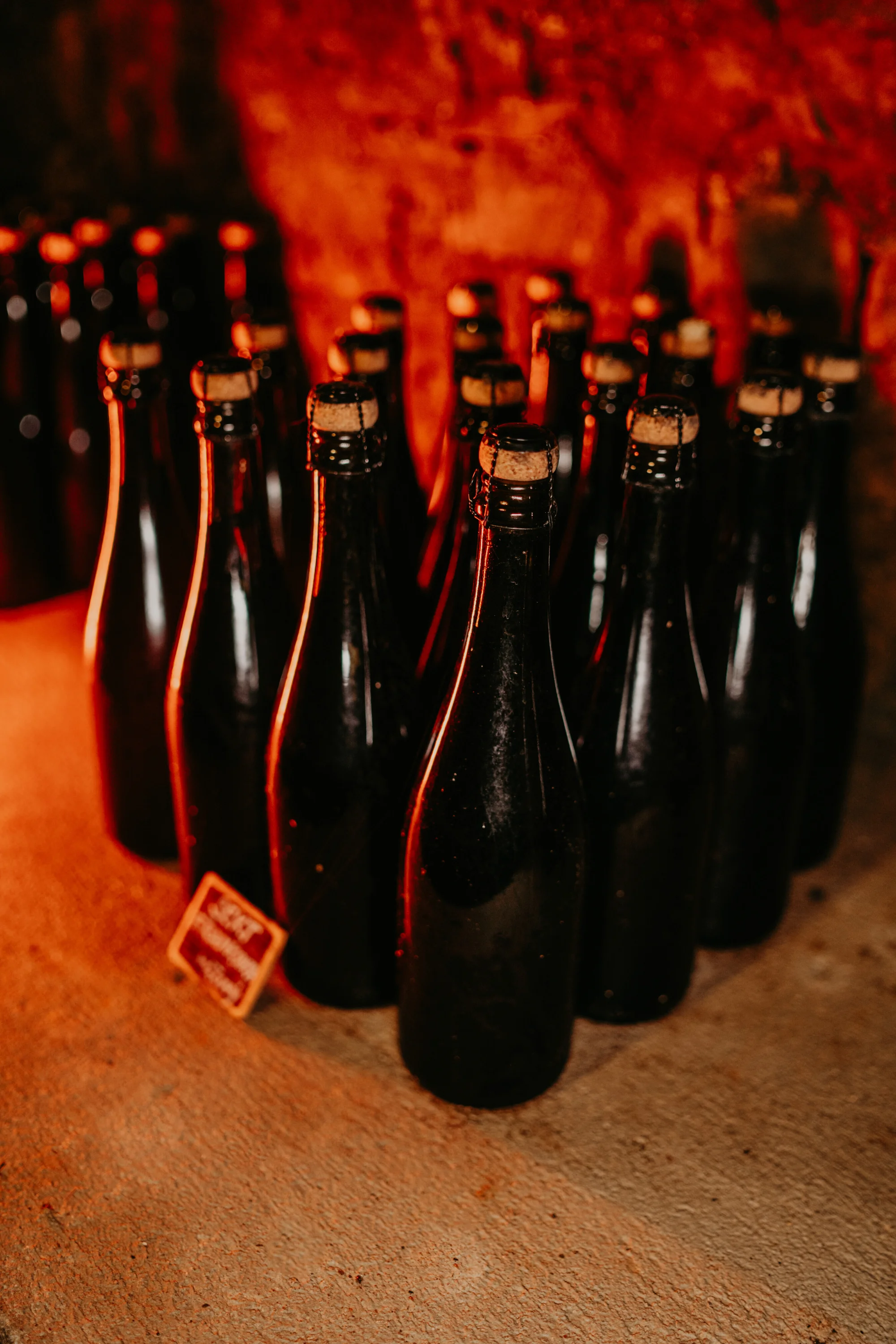 Luxusní vila v Beskydech: krb, koupací sud i sauna