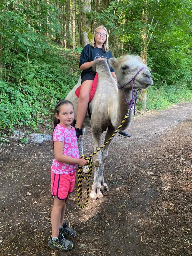 Ošetřovatelem velbloudů a lam ve dvou: procházka a krmení i práce ve stáji