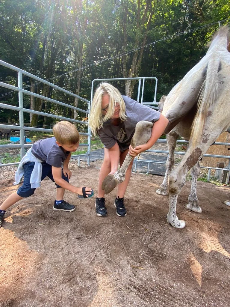 Ošetřovatelem velbloudů a lam ve dvou: procházka a krmení i práce ve stáji