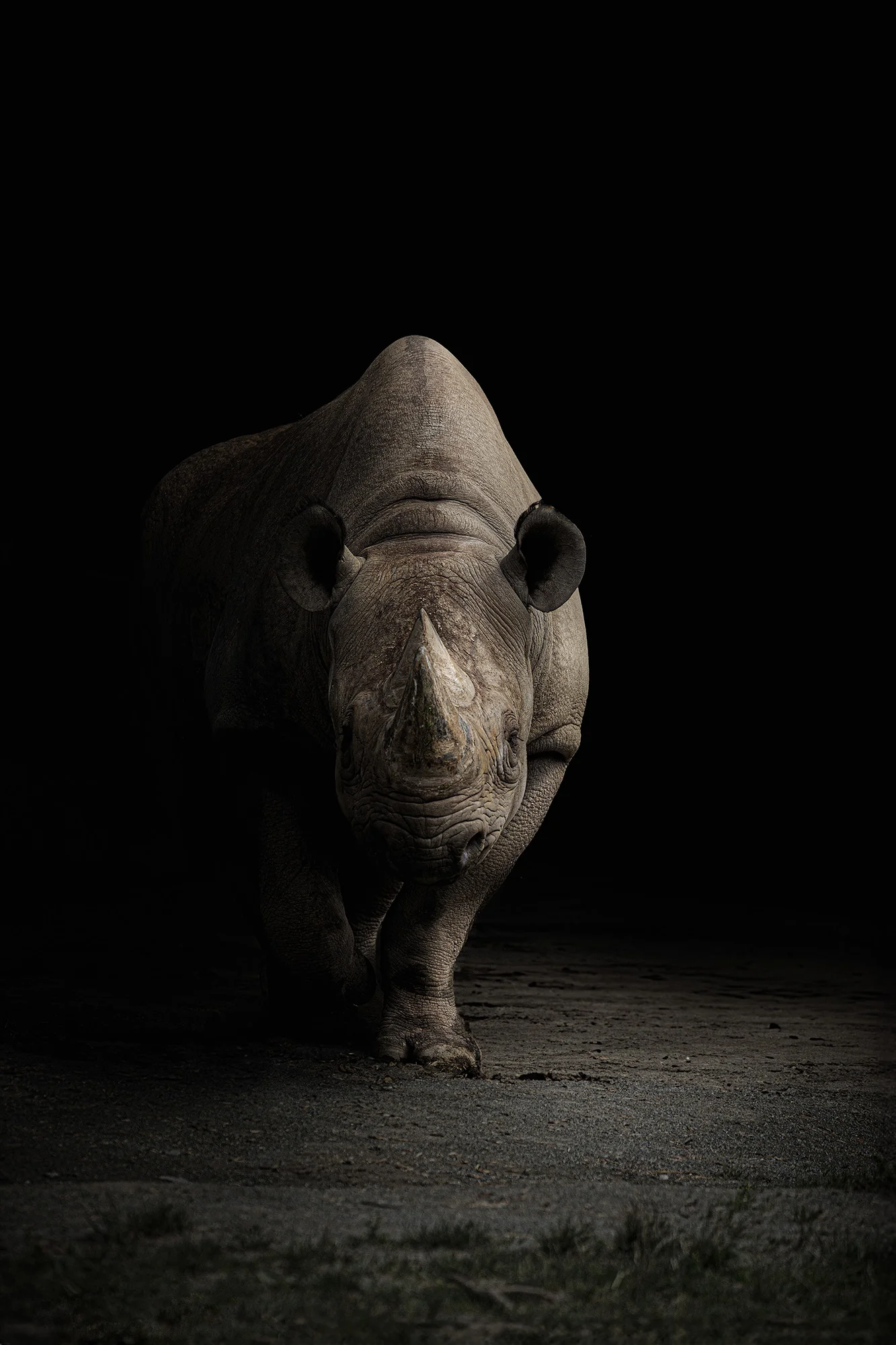 Fotografický prémium kurz v 5 různých zoo pro začátečníky i pokročilé