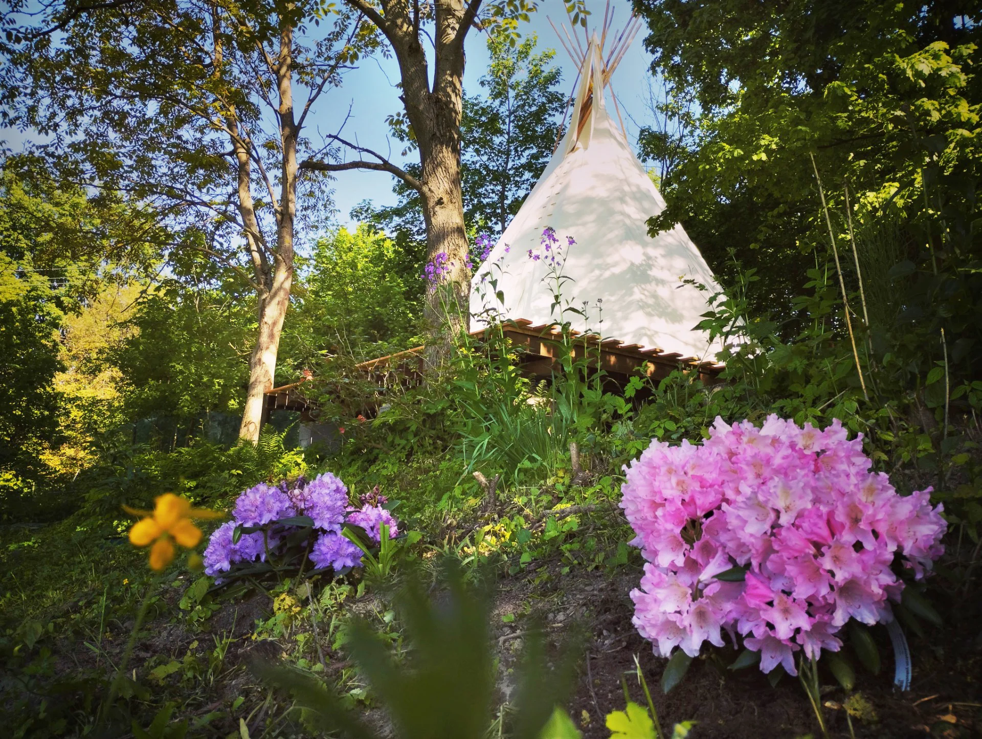 Pobyt v zařízeném teepee se sladkou, slanou i vege snídaní v piknikovém koši