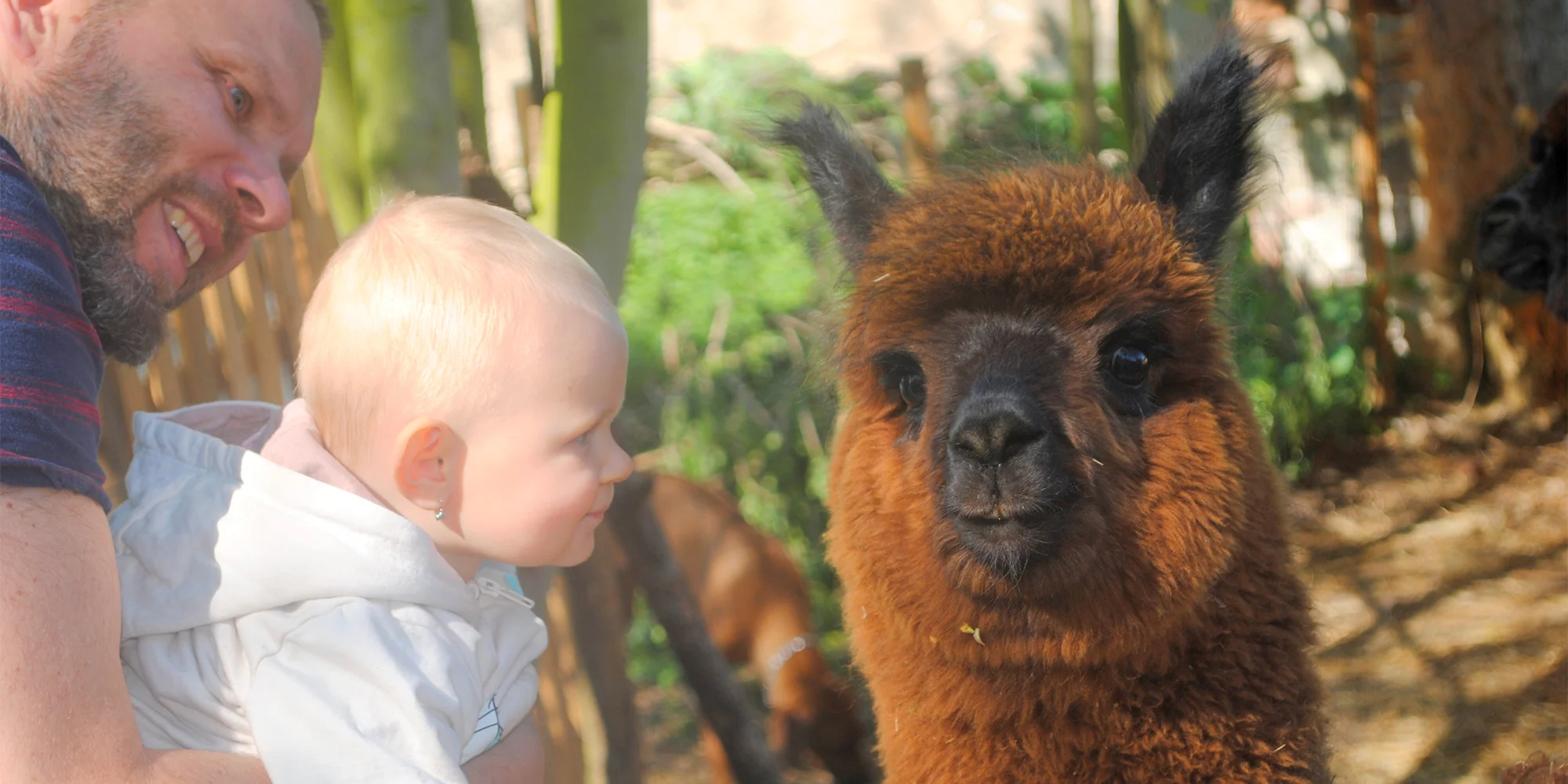 Privátní vstup do Mini zvěřince v Žatci pro rodinu a kbelíček s krmením