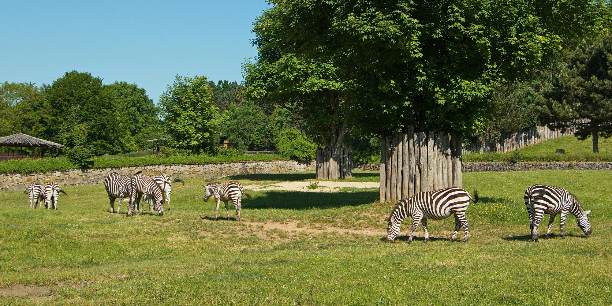 Pobyt na farmě 5 km od Kuksu s farmářskou snídaní i vstupenkami do zoo