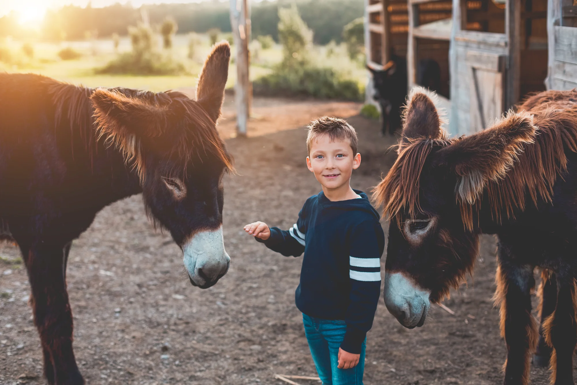 Rodinná návštěva Oslí stezky: prohlídka farmy, trail park a svezení pro děti i túra s piknikem
