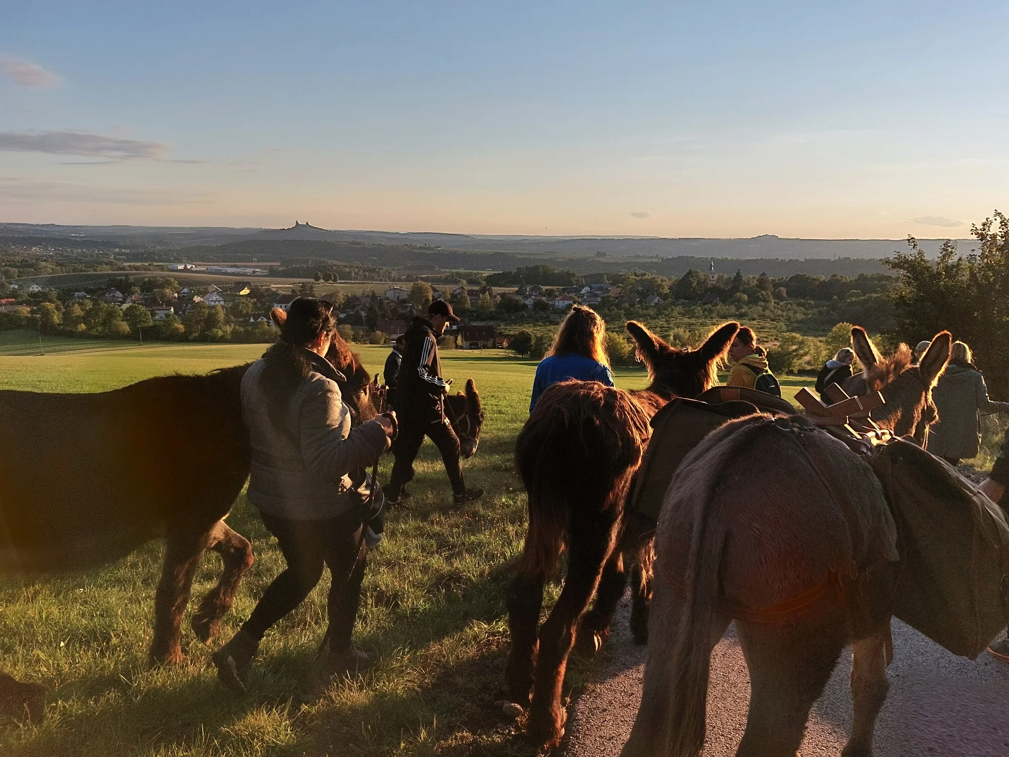 Rodinná návštěva Oslí stezky: prohlídka farmy, trail park a svezení pro děti i túra s piknikem