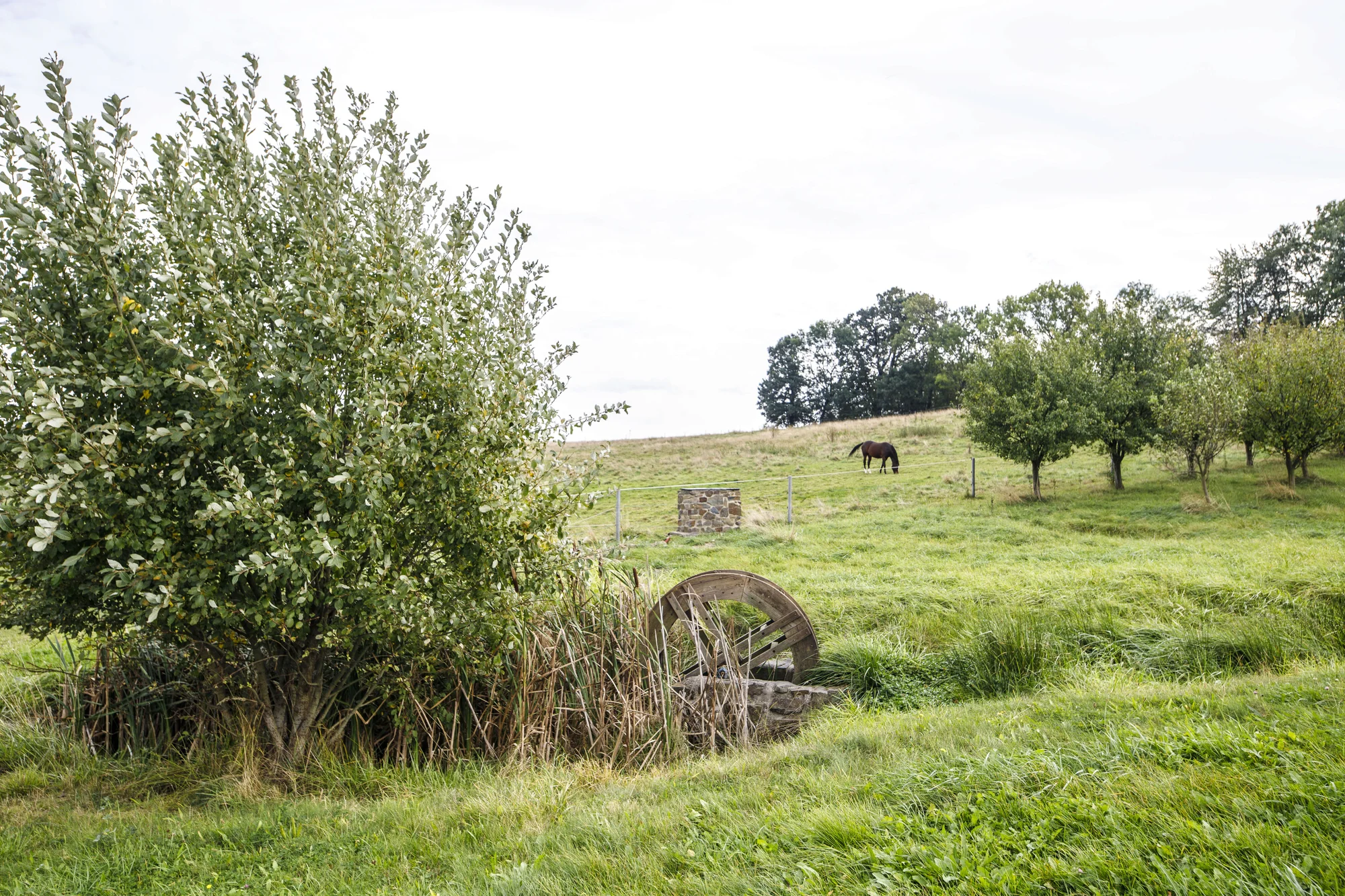 Pobyt na farmě u Opavy: možnost snídaně, wellness a elektrokol