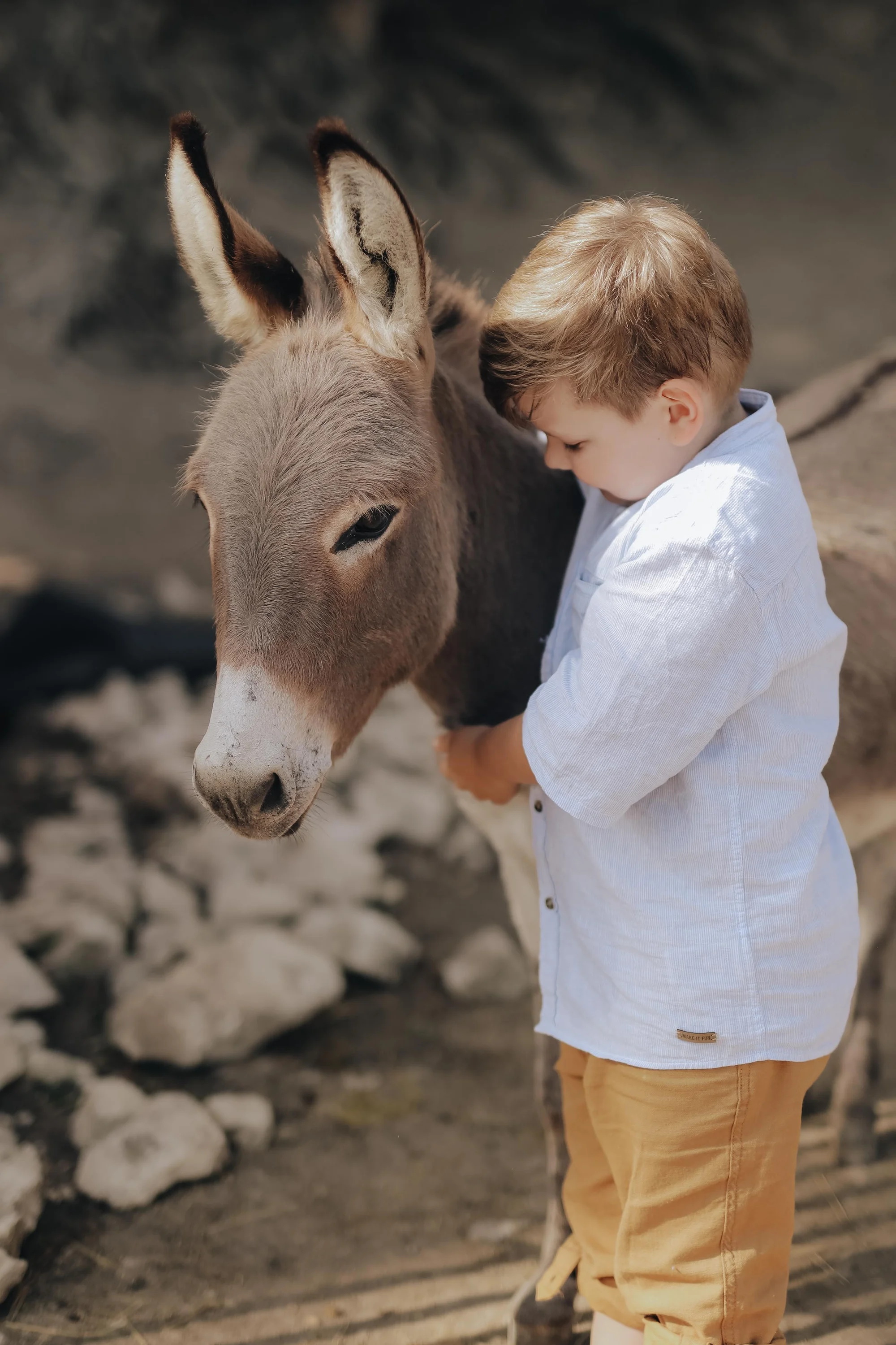 Pobyt mezi zvířátky na ranči: karavan, chatka či maringotka, mini zoo, koně a možnost snídaní
