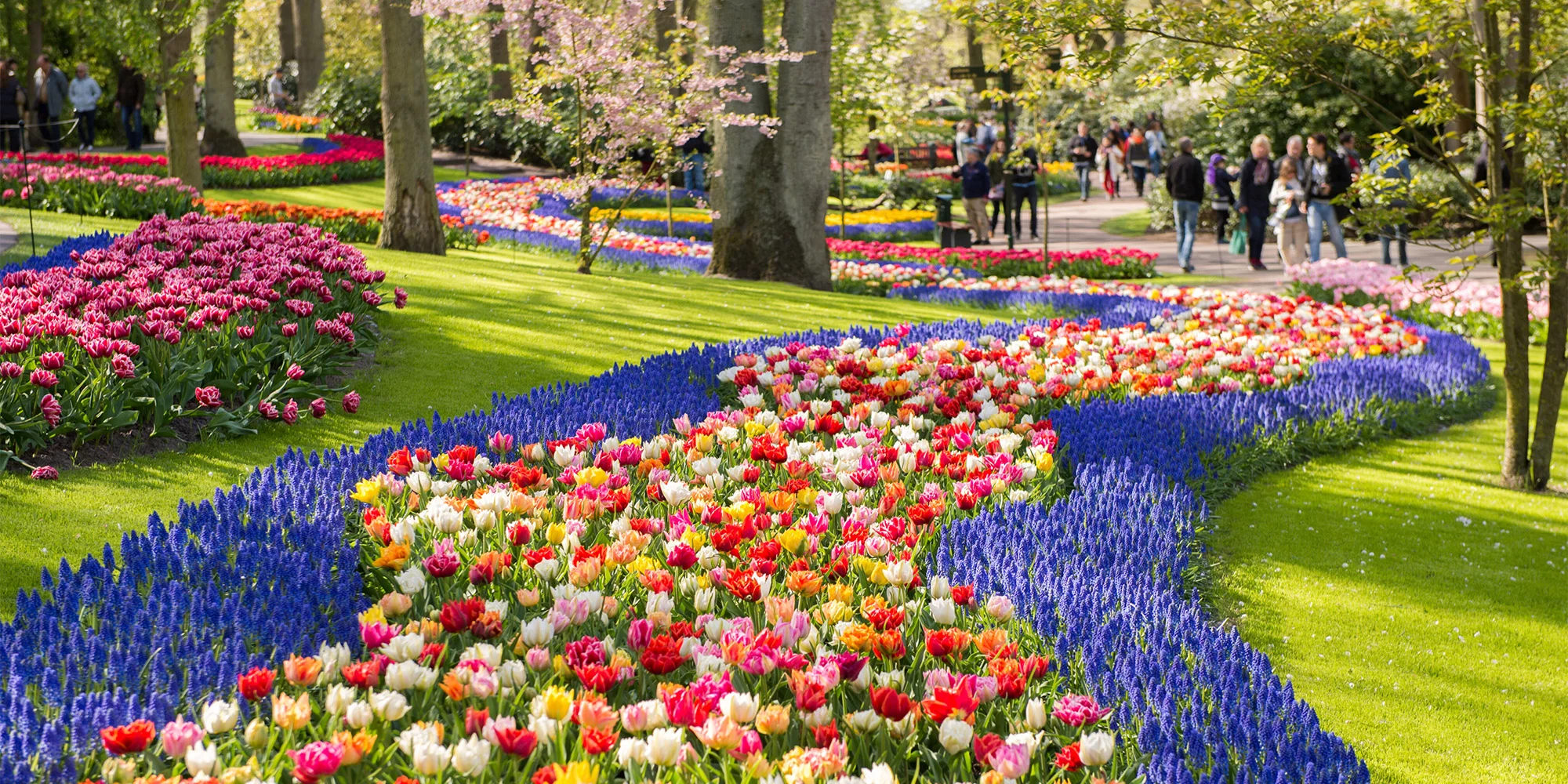 Vyrazte do Keukenhofu: jarní výlet do největšího květinového parku v Evropě