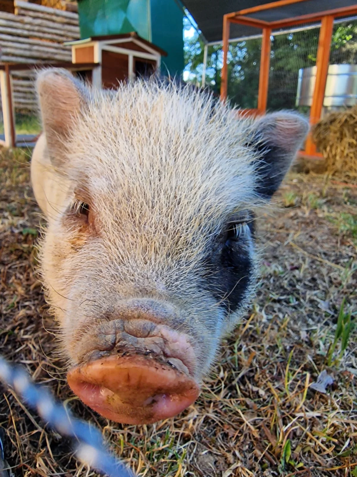 Zážitková dovolená na Horehroní: pobyt se stravou, nedaleko Muzea sportovních aut